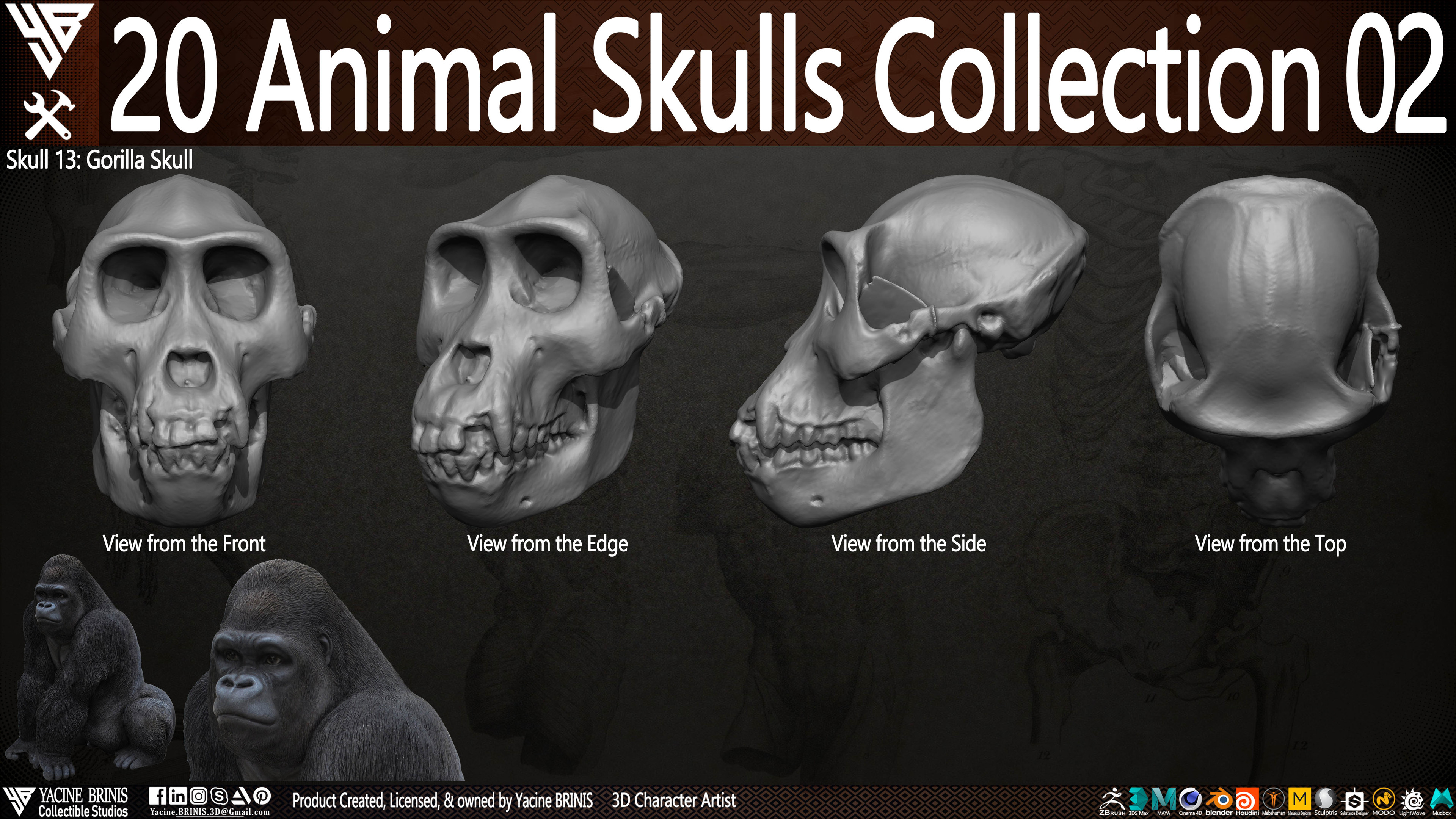 20 Animal Skulls Collection 03 By Yacine BRINIS Set 044
