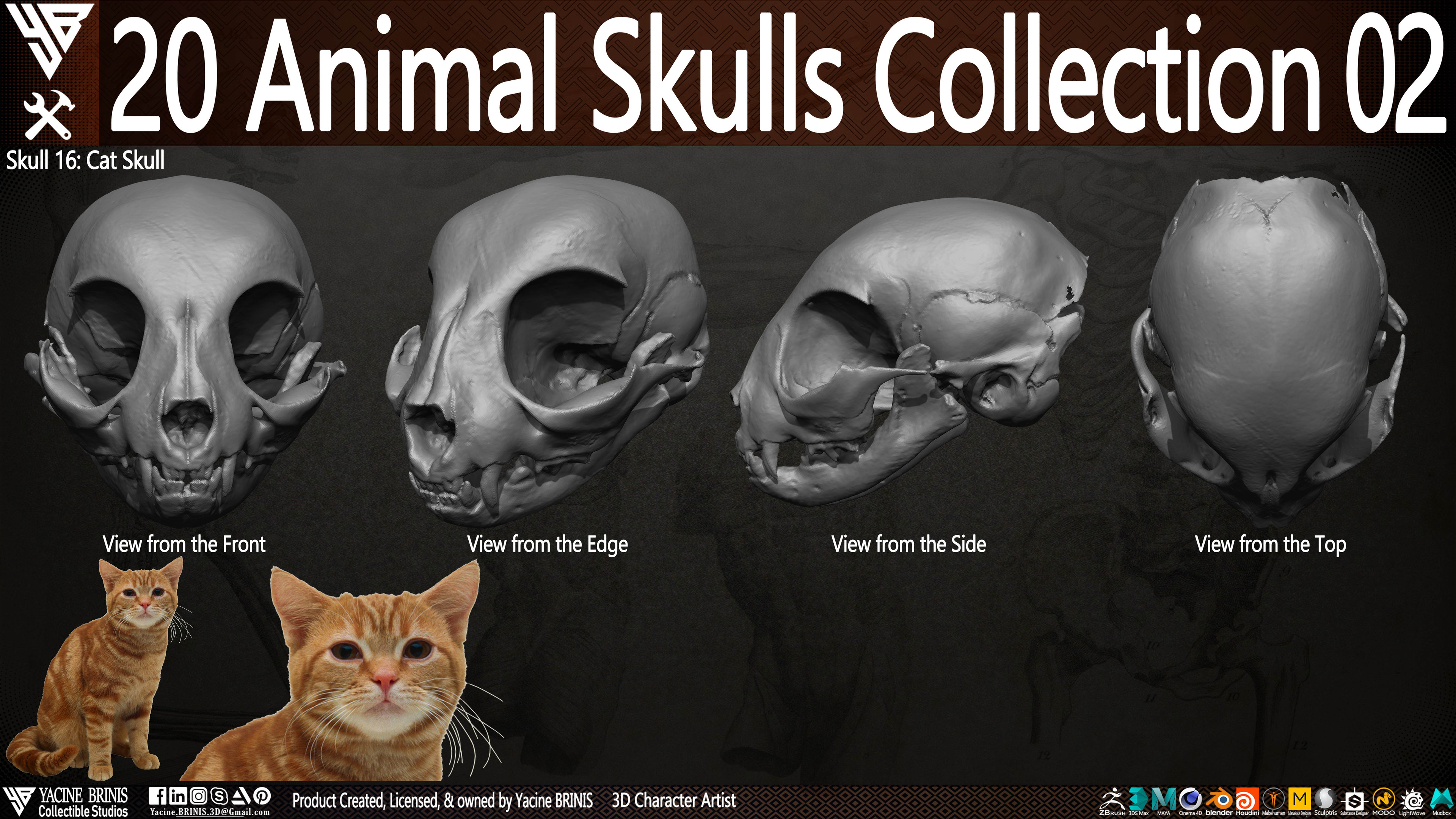 20 Animal Skulls Collection 03 By Yacine BRINIS Set 047