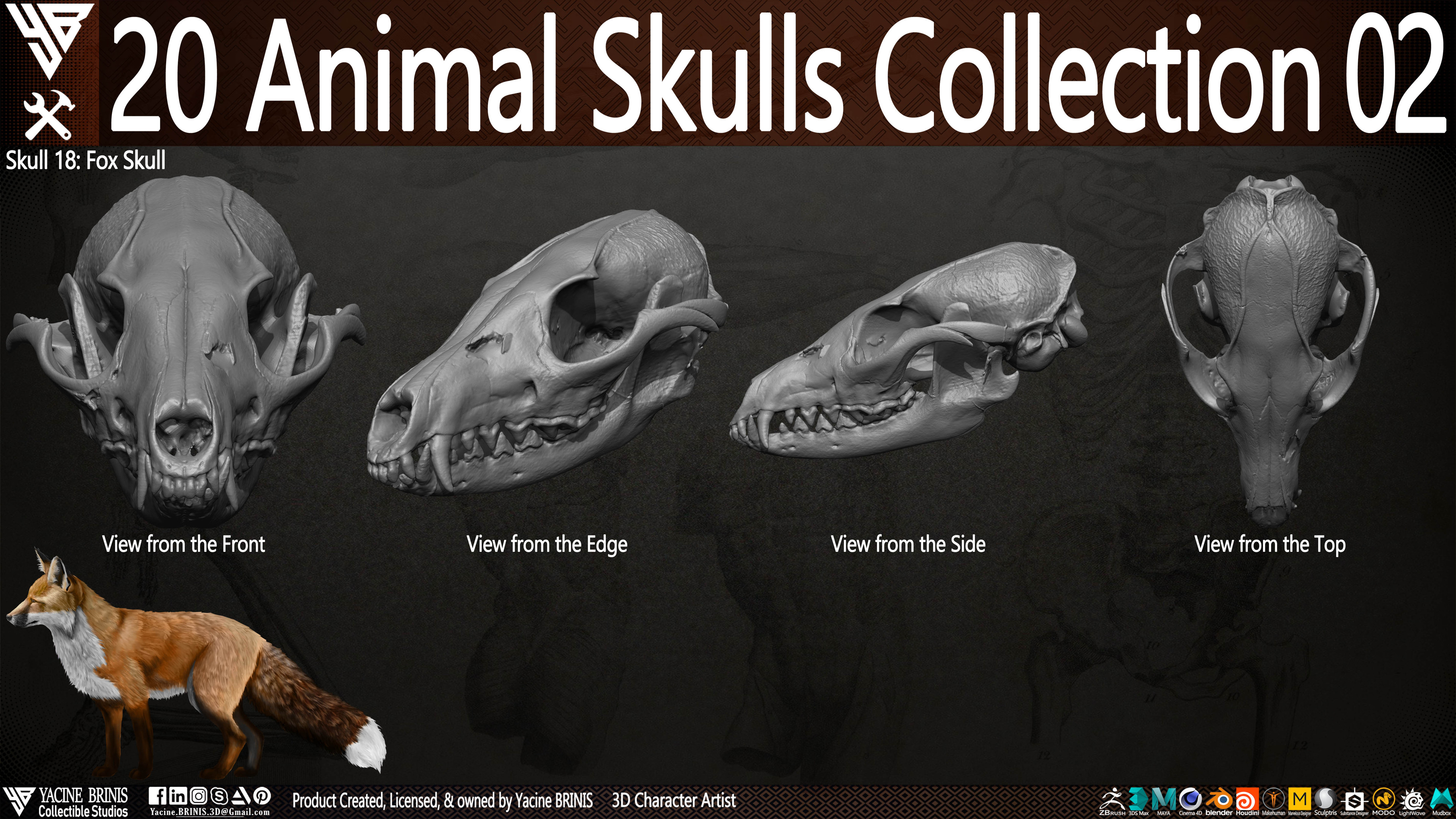 20 Animal Skulls Collection 03 By Yacine BRINIS Set 049
