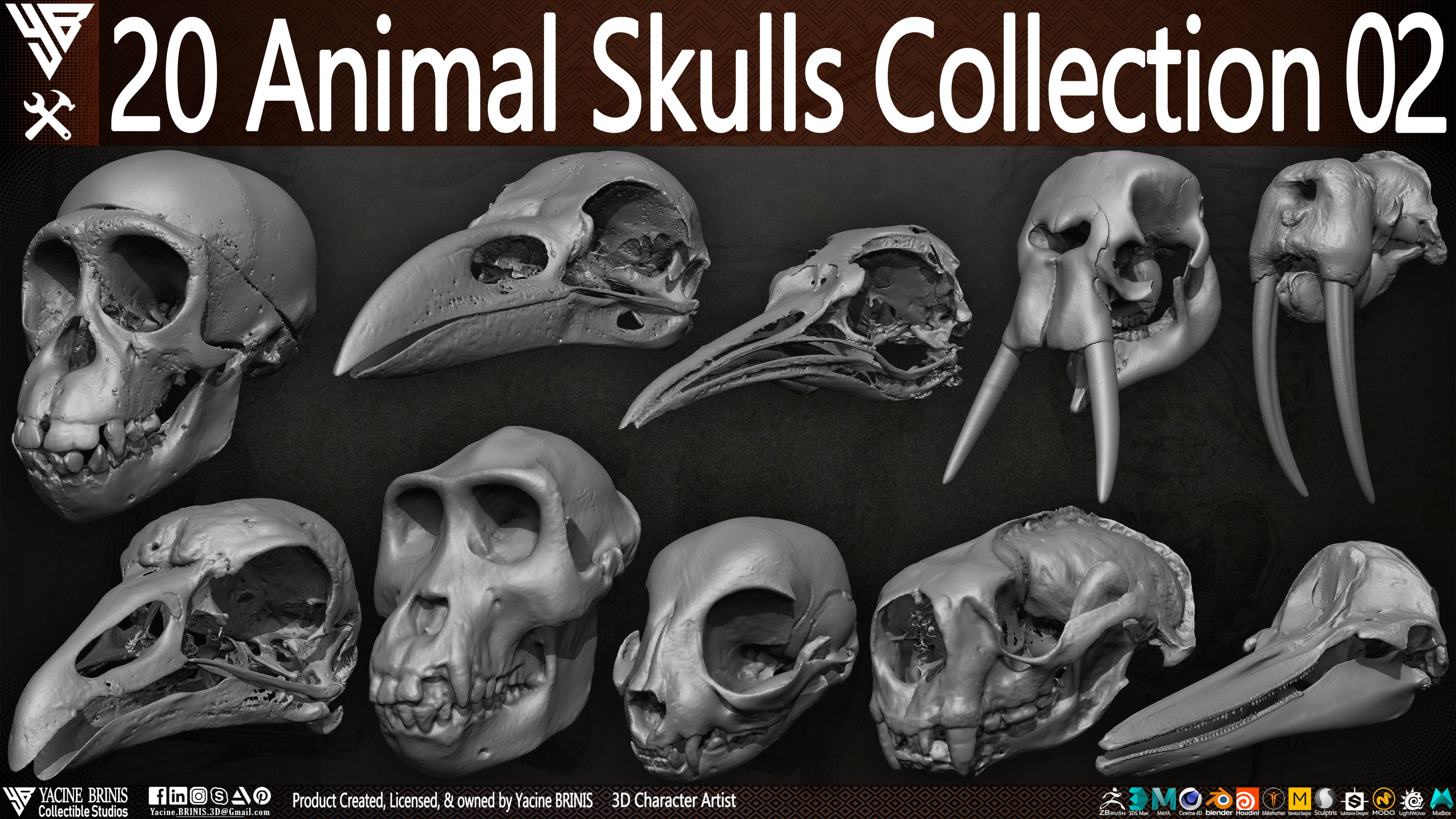 20 Animal Skulls Collection 03 By Yacine BRINIS Set 052