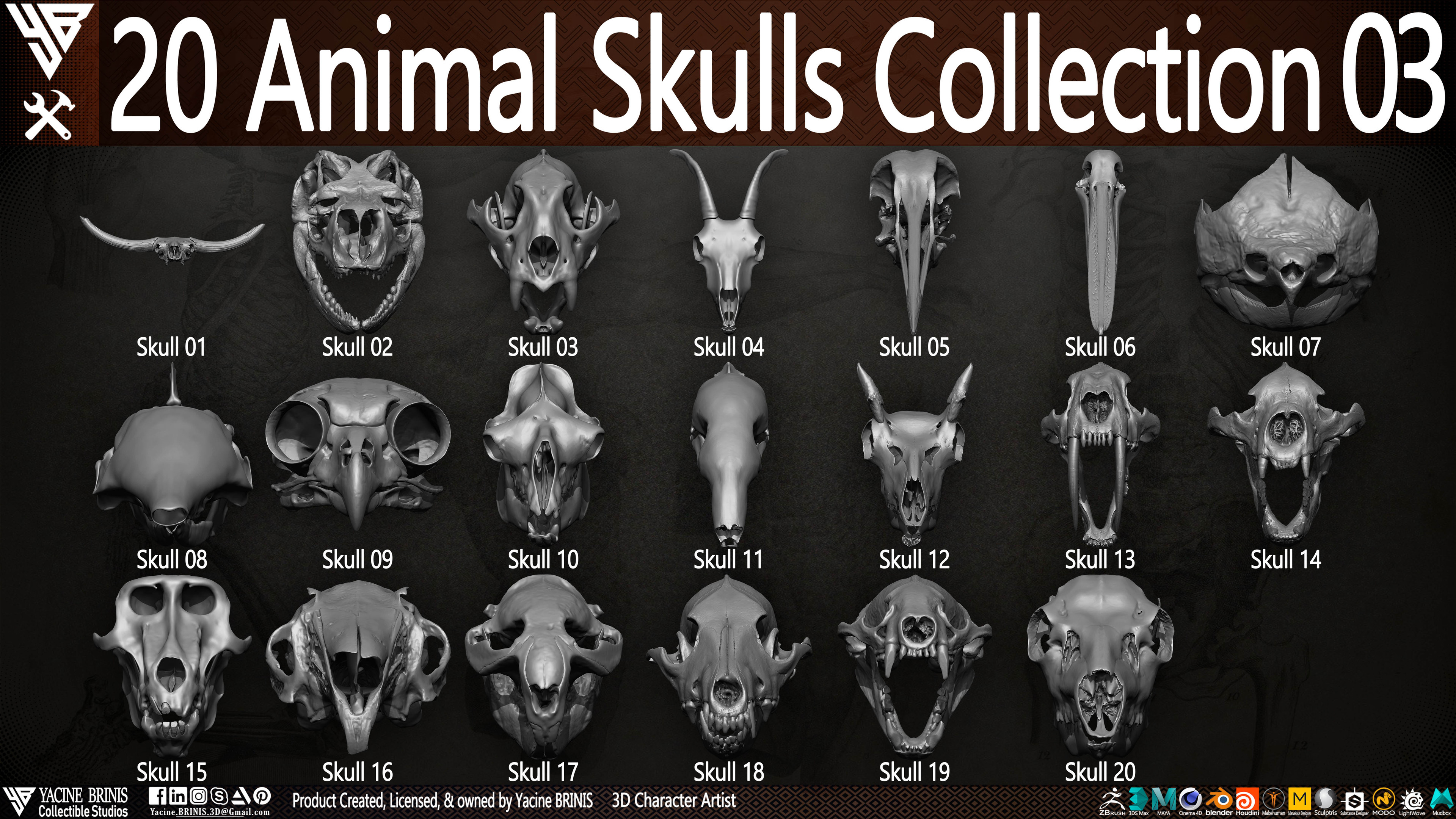 20 Animal Skulls Collection 03 By Yacine BRINIS Set 053