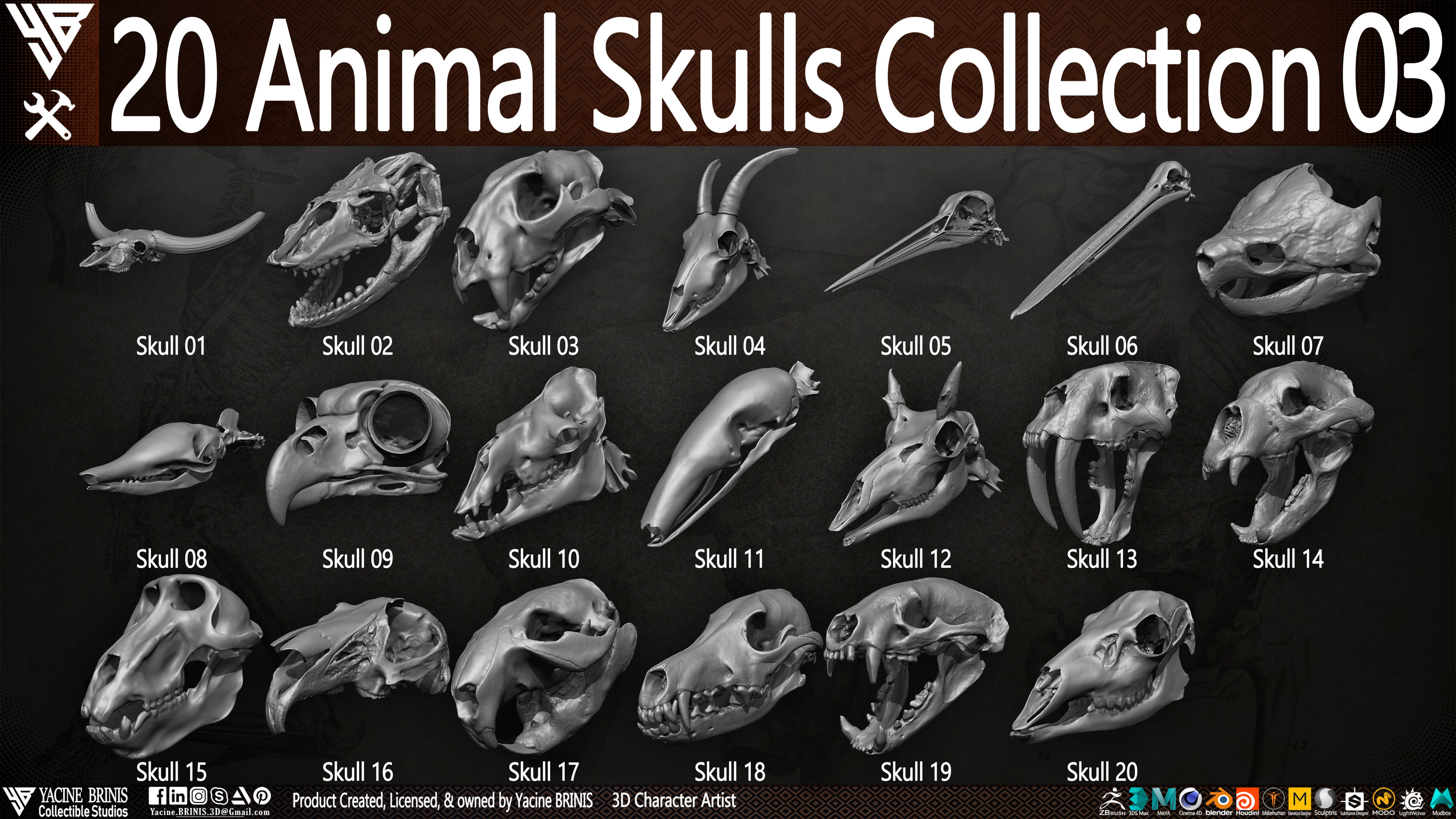 20 Animal Skulls Collection 03 By Yacine BRINIS Set 054