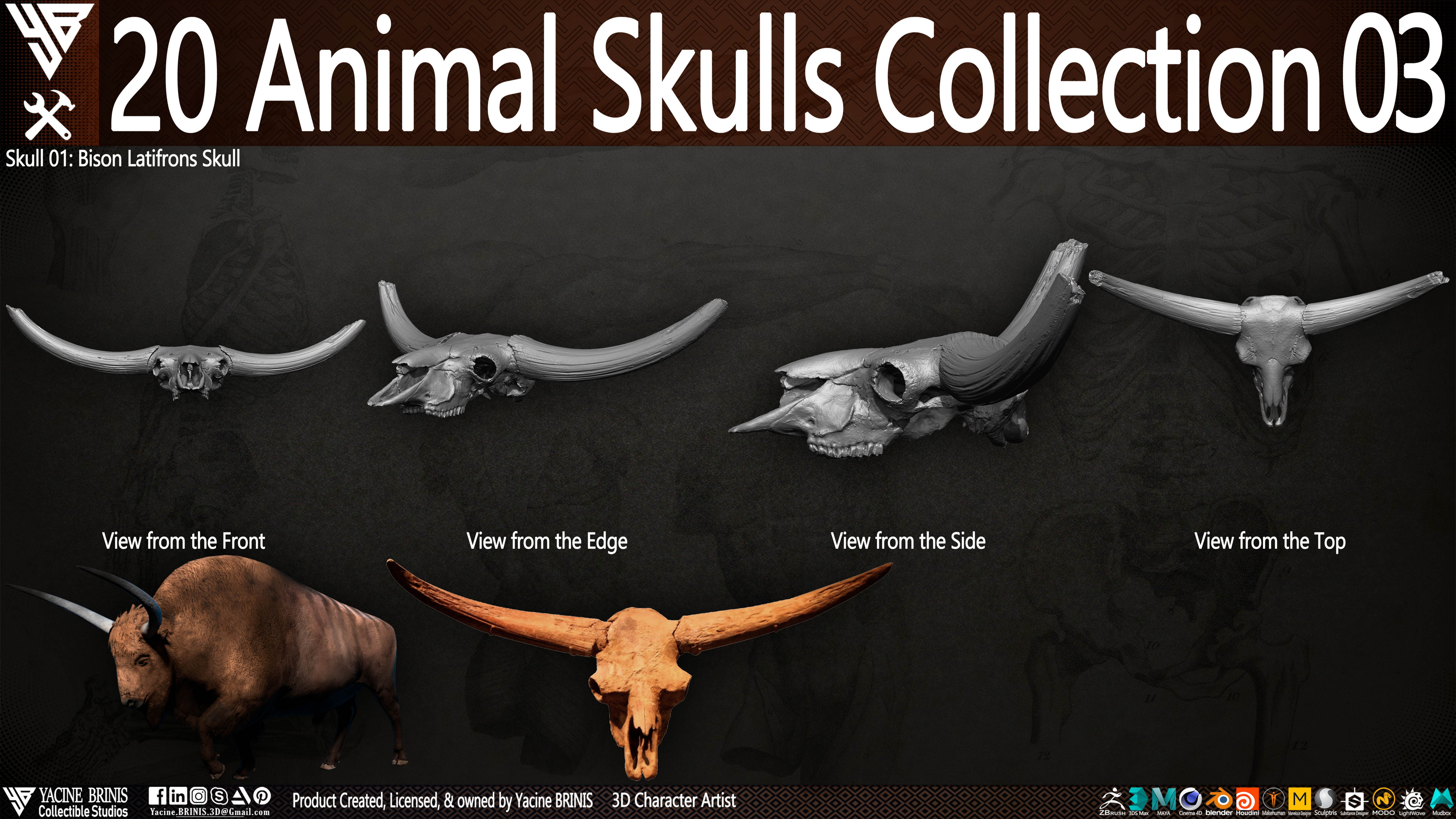 20 Animal Skulls Collection 03 By Yacine BRINIS Set 057