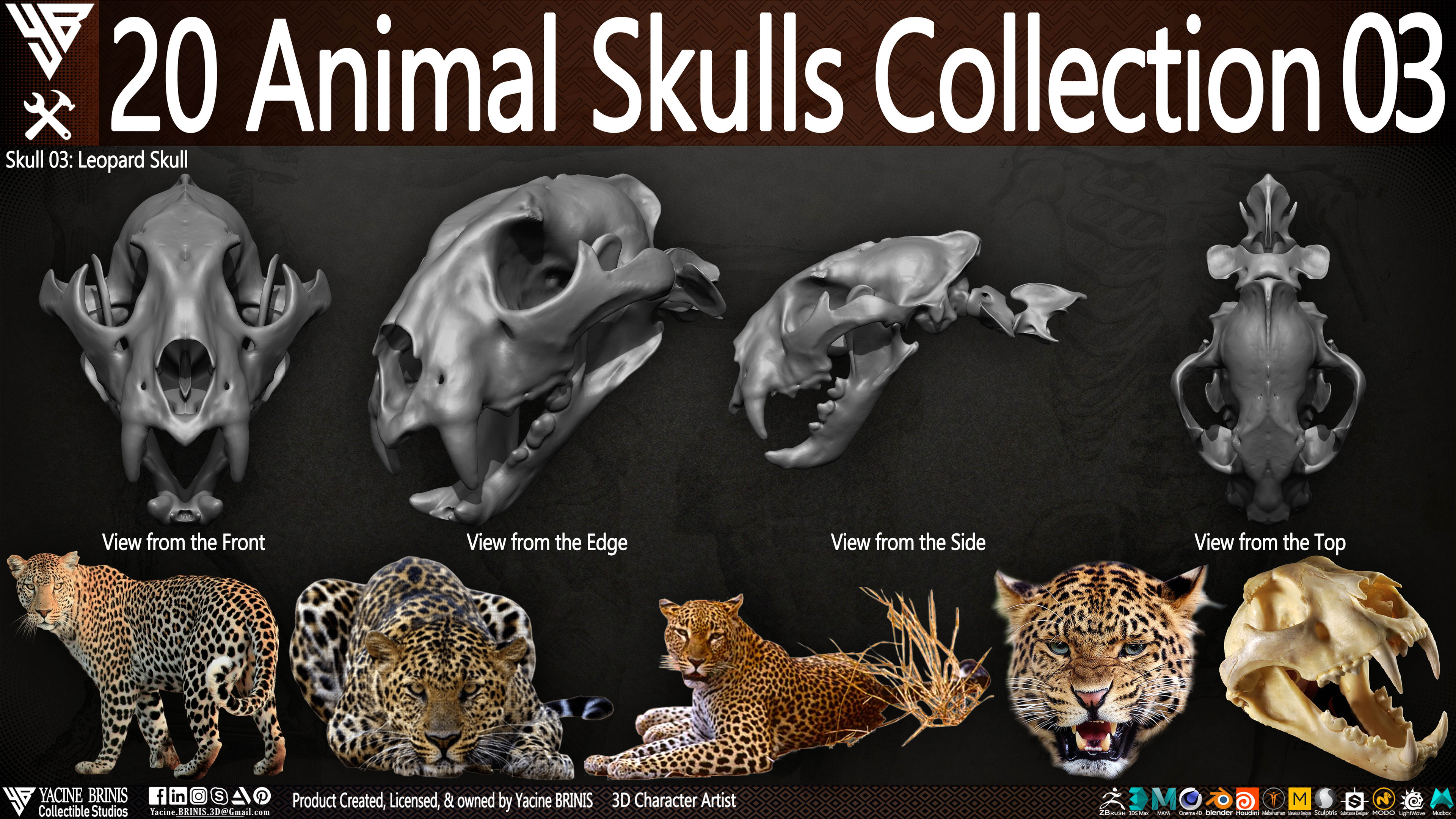 20 Animal Skulls Collection 03 By Yacine BRINIS Set 059