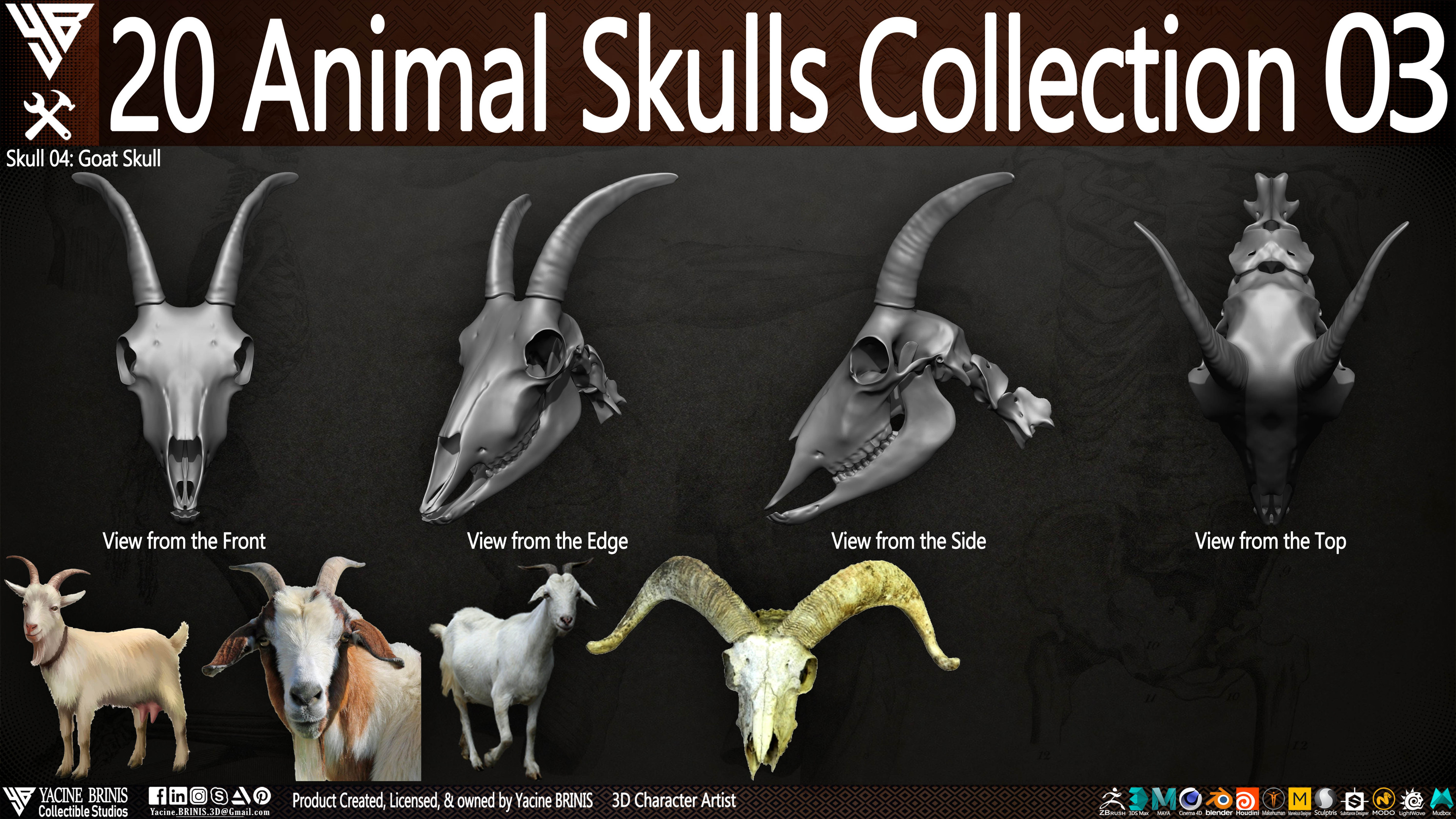 20 Animal Skulls Collection 03 By Yacine BRINIS Set 060