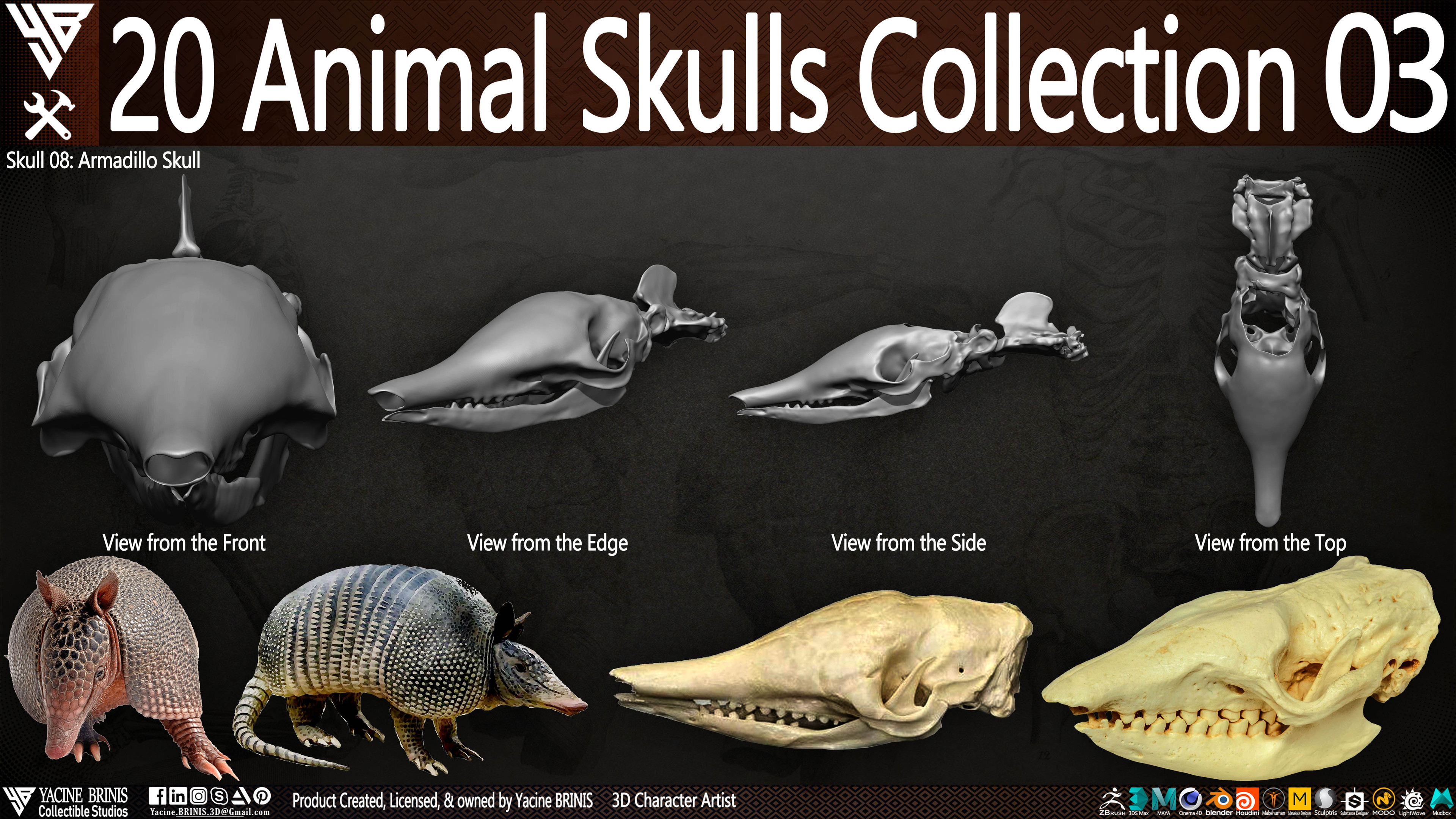 20 Animal Skulls Collection 03 By Yacine BRINIS Set 064