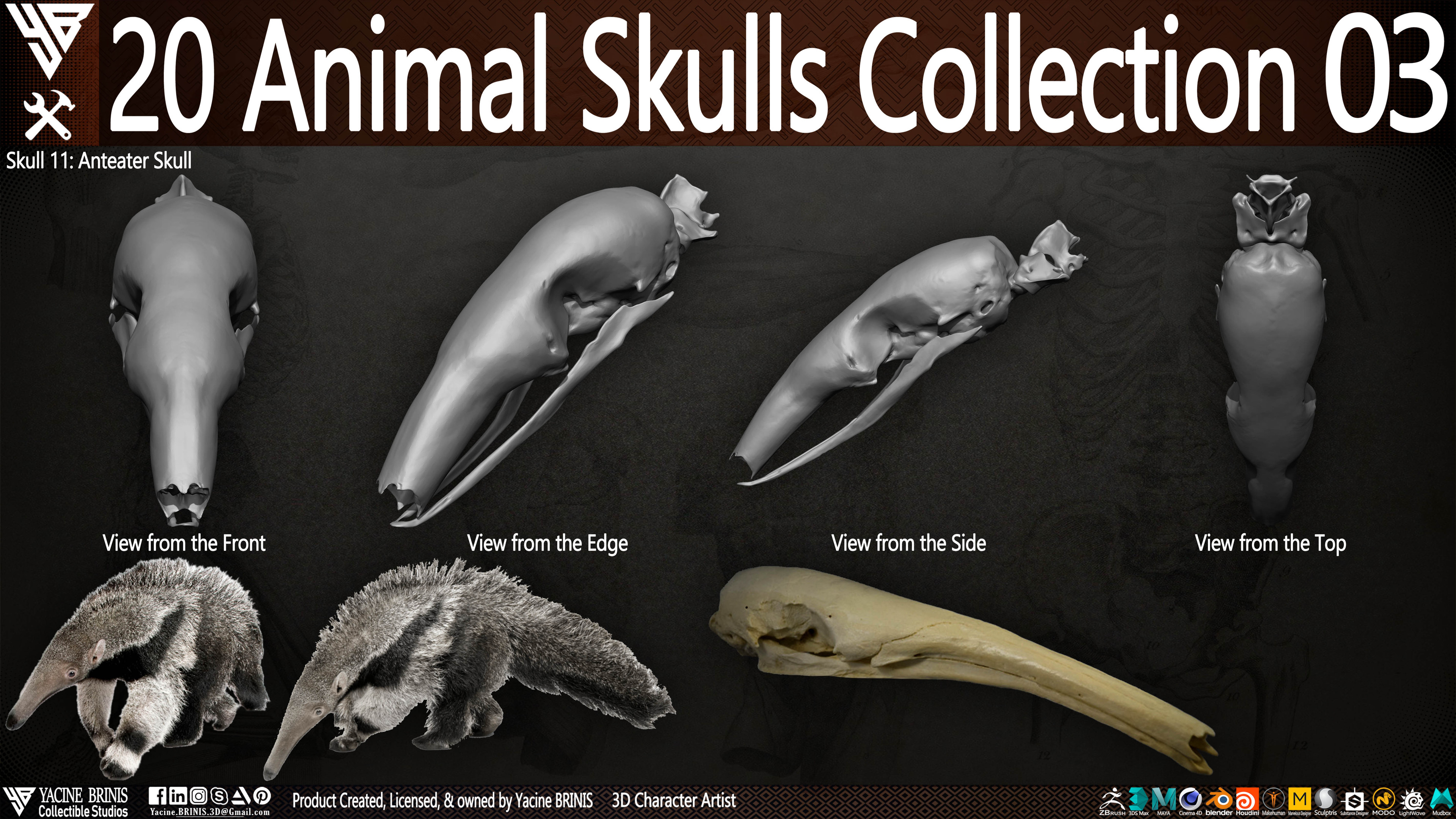 20 Animal Skulls Collection 03 By Yacine BRINIS Set 067