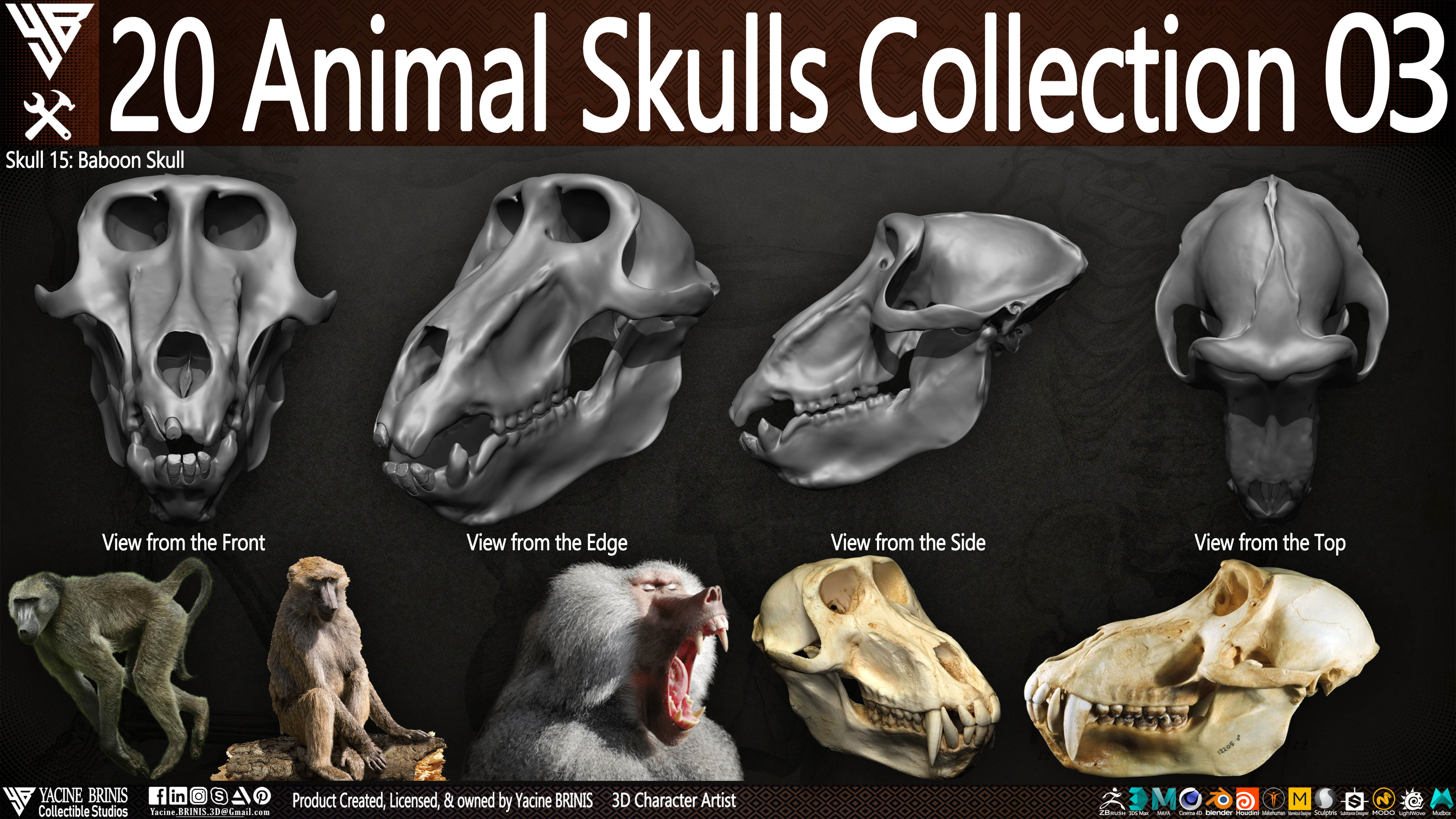 20 Animal Skulls Collection 03 By Yacine BRINIS Set 071
