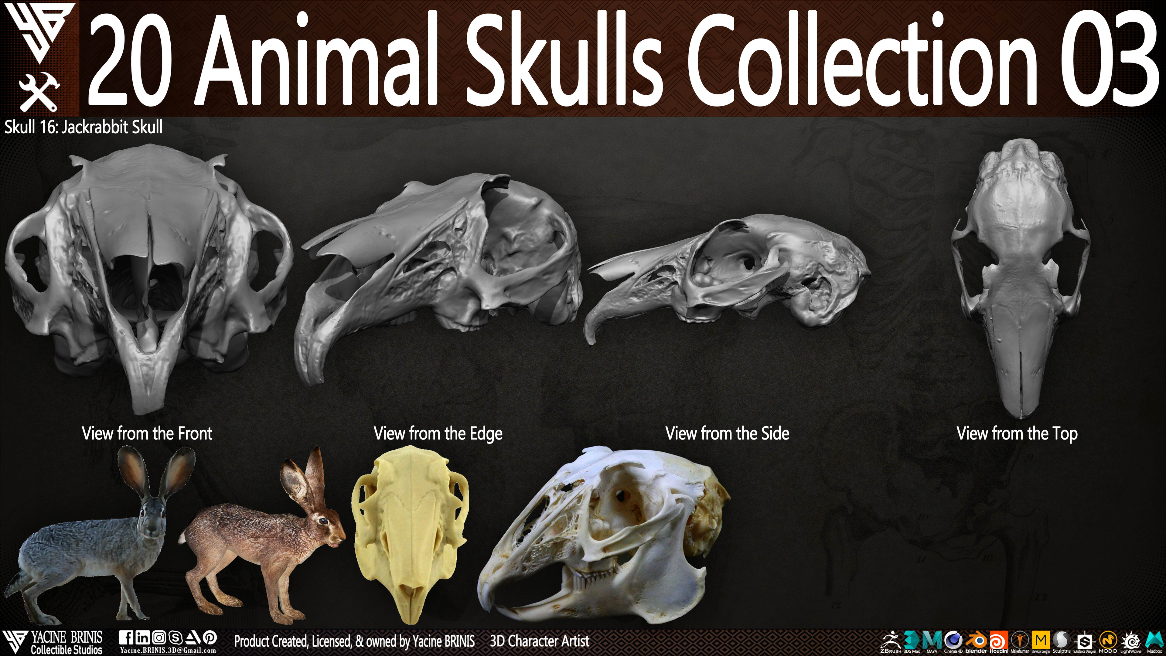 20 Animal Skulls Collection 03 By Yacine BRINIS Set 072