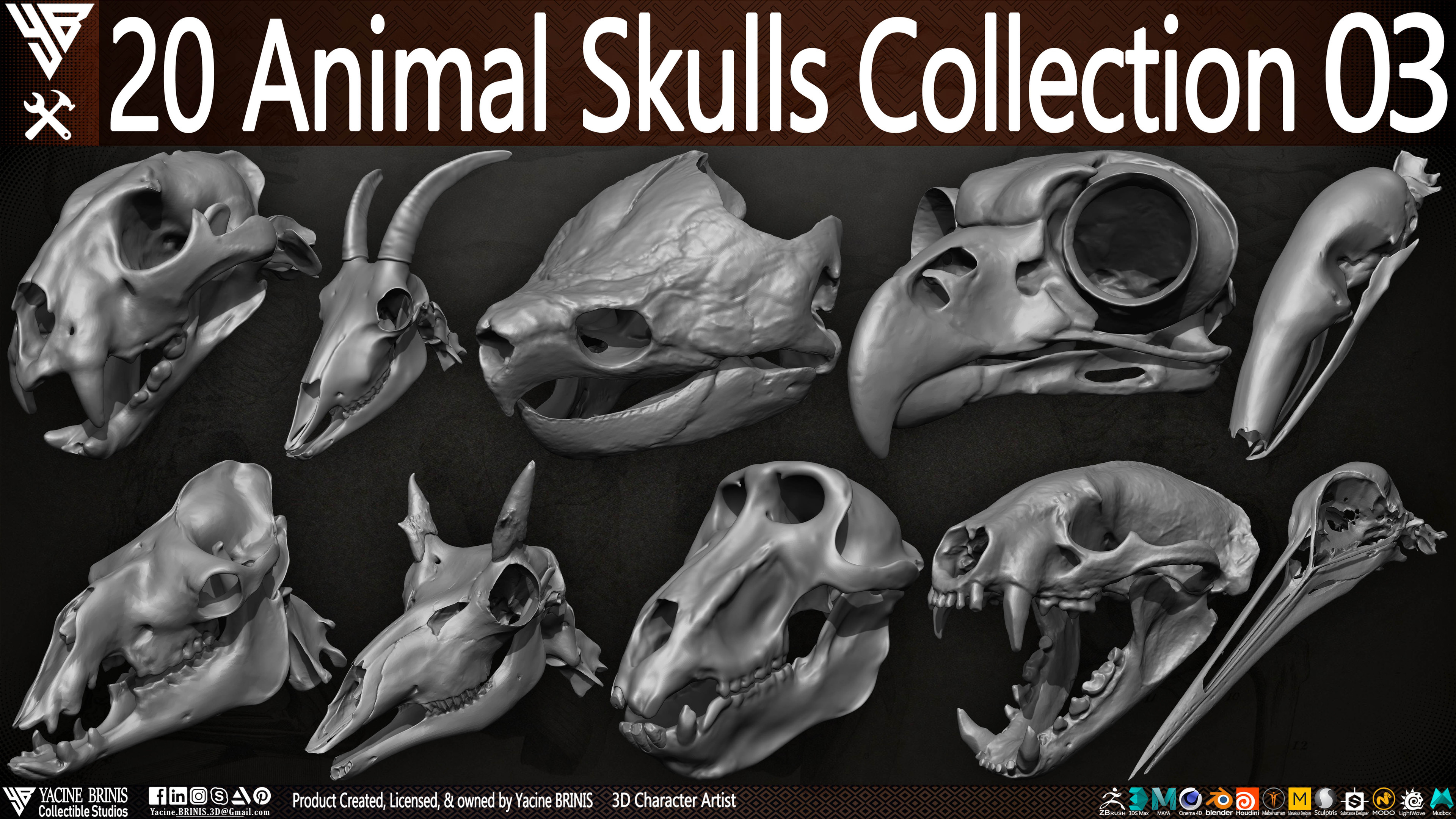 20 Animal Skulls Collection 03 By Yacine BRINIS Set 076