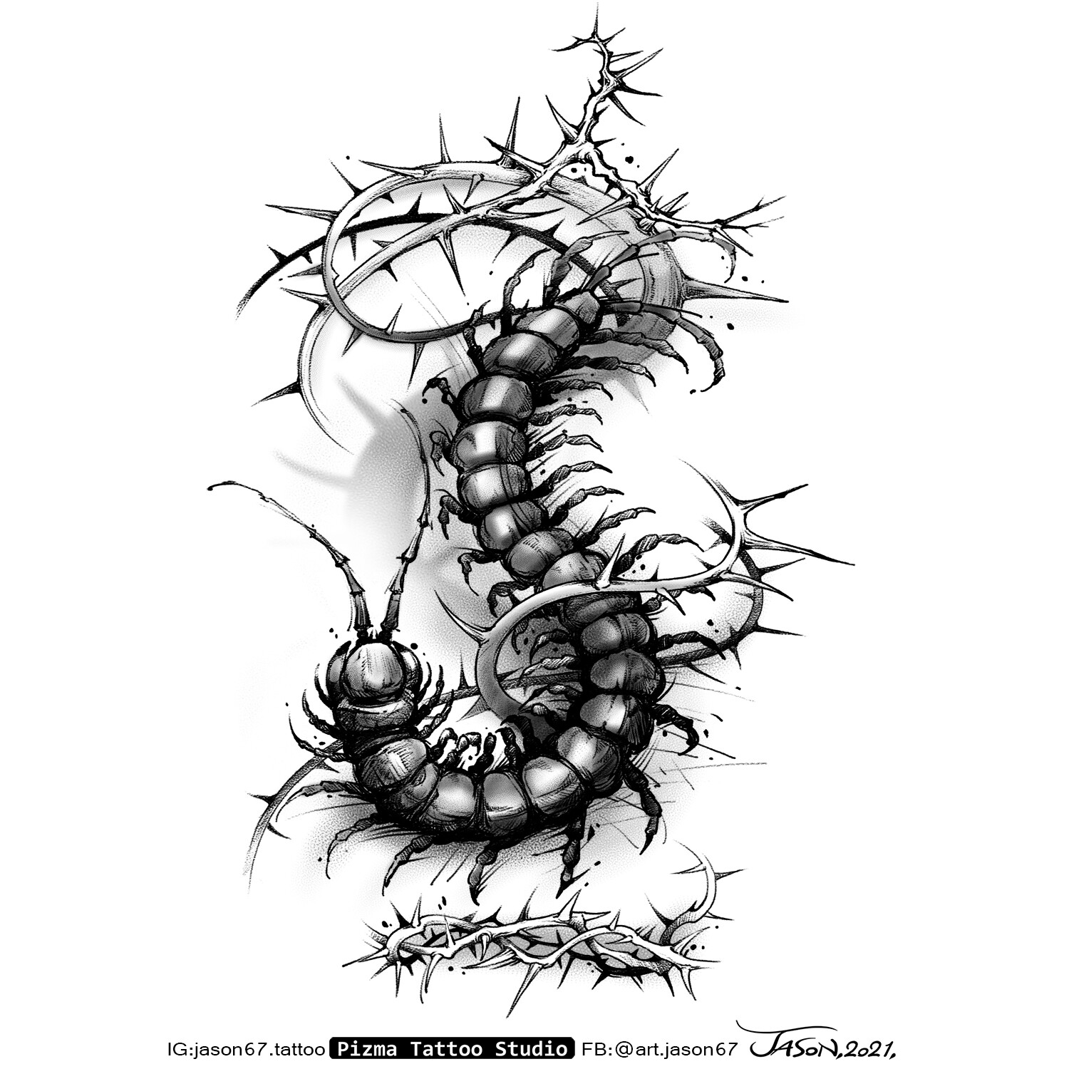 Centipede Tattoo Meaning A Unique Expression of Strength and Adaptability   Impeccable Nest