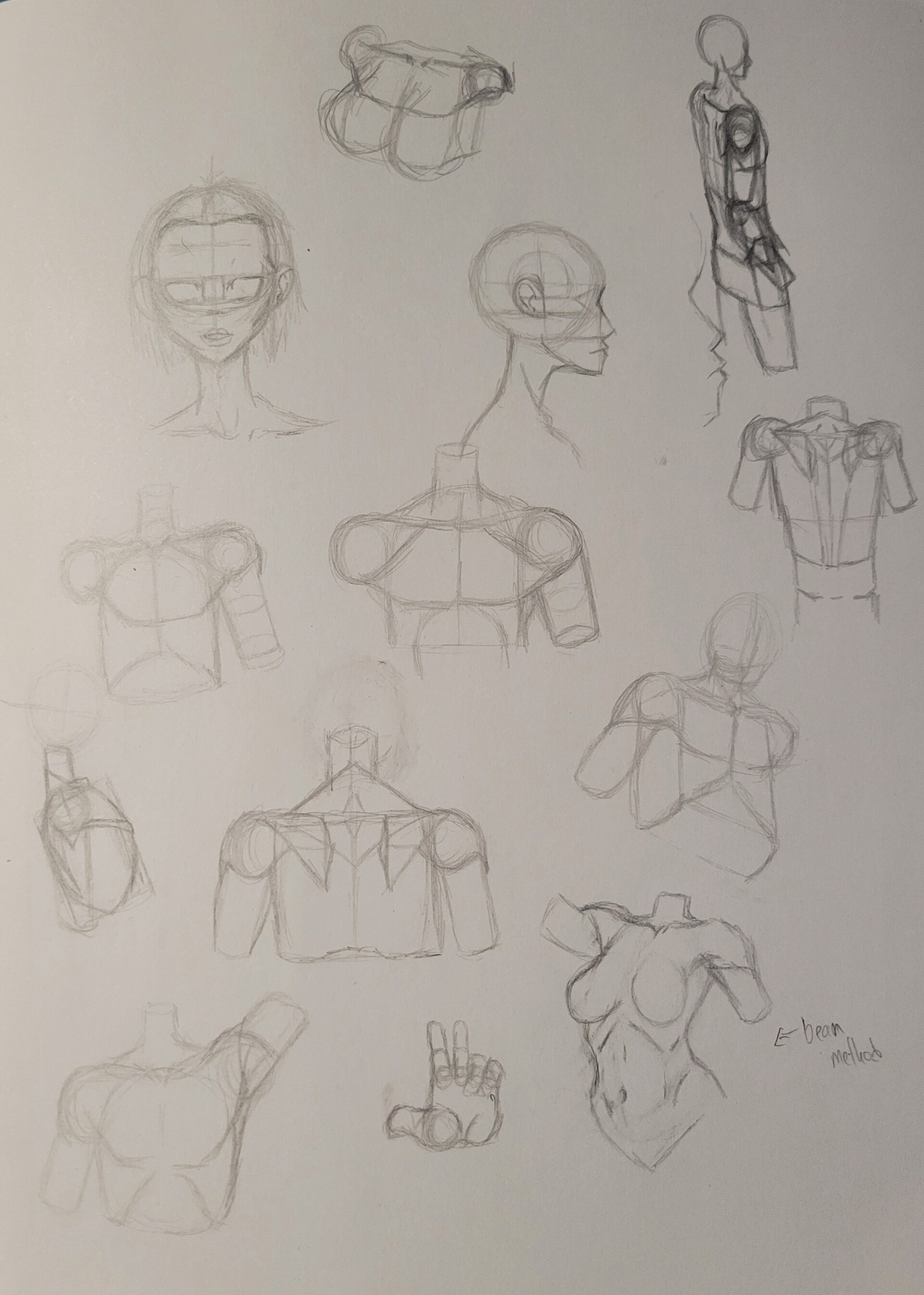ArtStation Male Anatomy practice