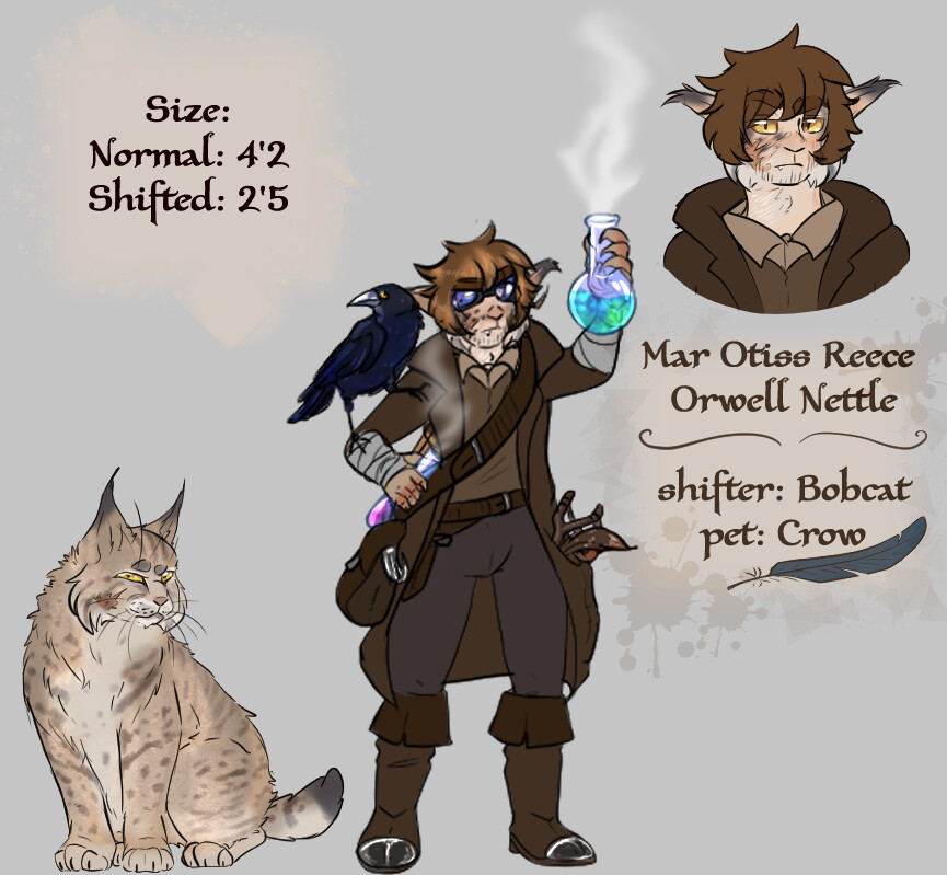 ArtStation DnD character shifter