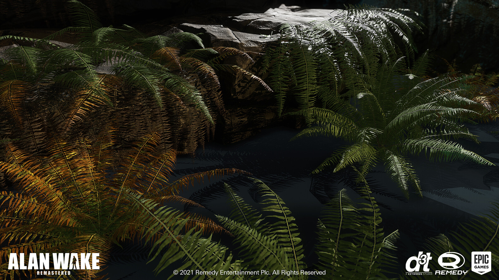 Game Res Ferns