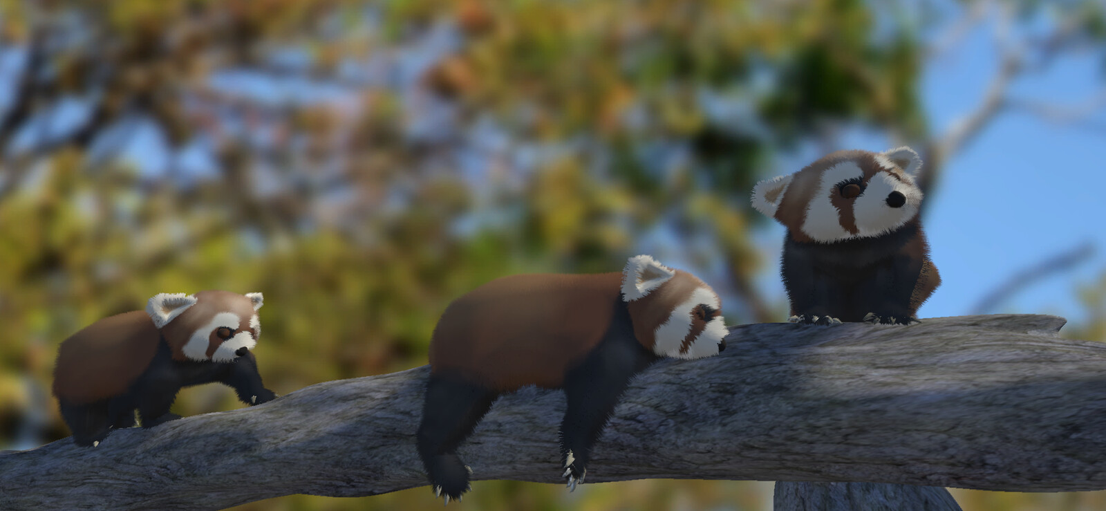 Red pandas in Unity #1. The panda model is rigged so it can move its head, legs, tail, etc