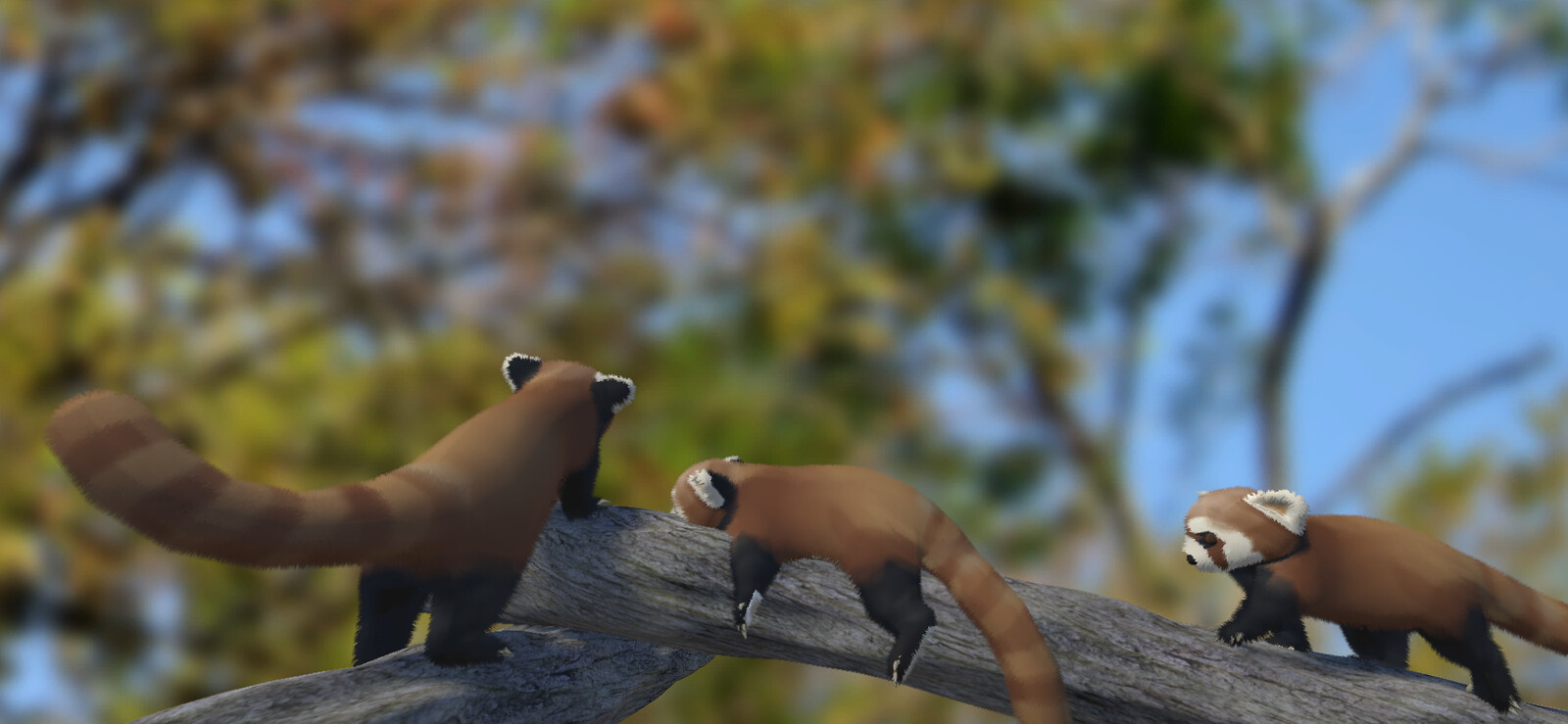 Red pandas in Unity #2