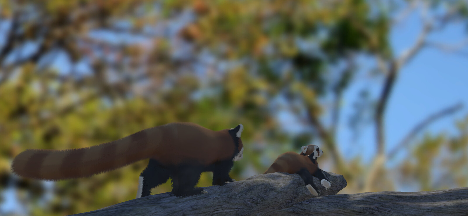 Red pandas in Unity #3