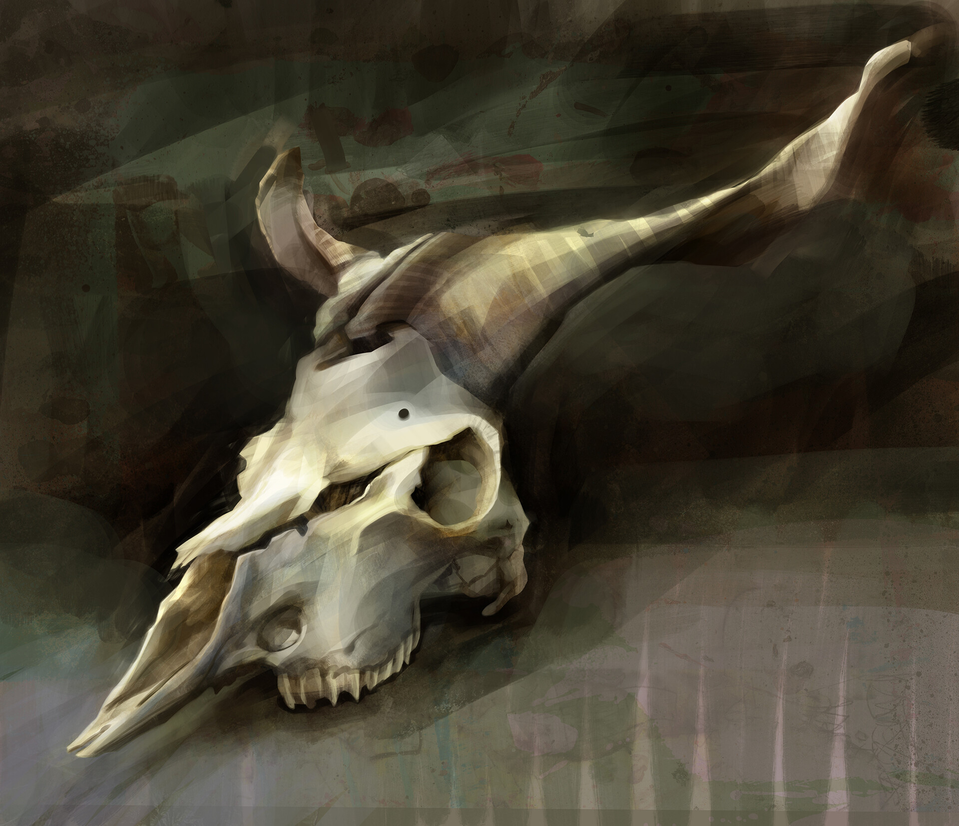 ArtStation animal skull n°4