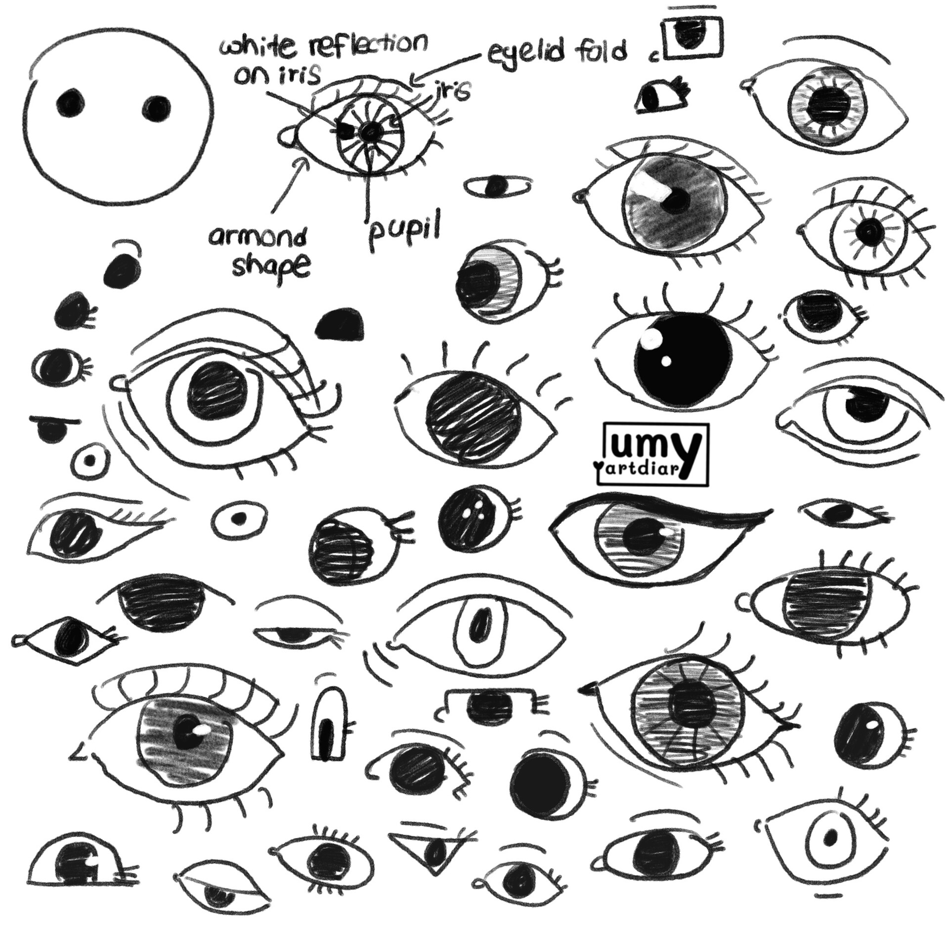 Different Shaped Eyes Vast Selection Clc cet edu different-shaped-eyes-vast-selection-clc-cet-edu