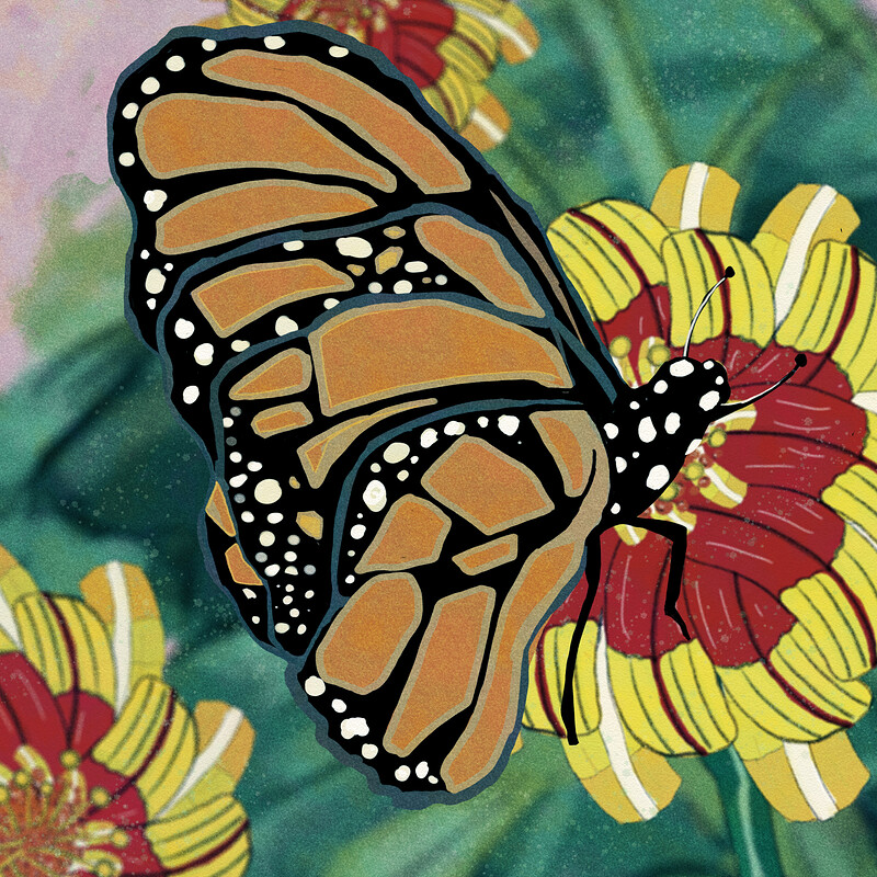 Glass Butterfly Imagine #2
