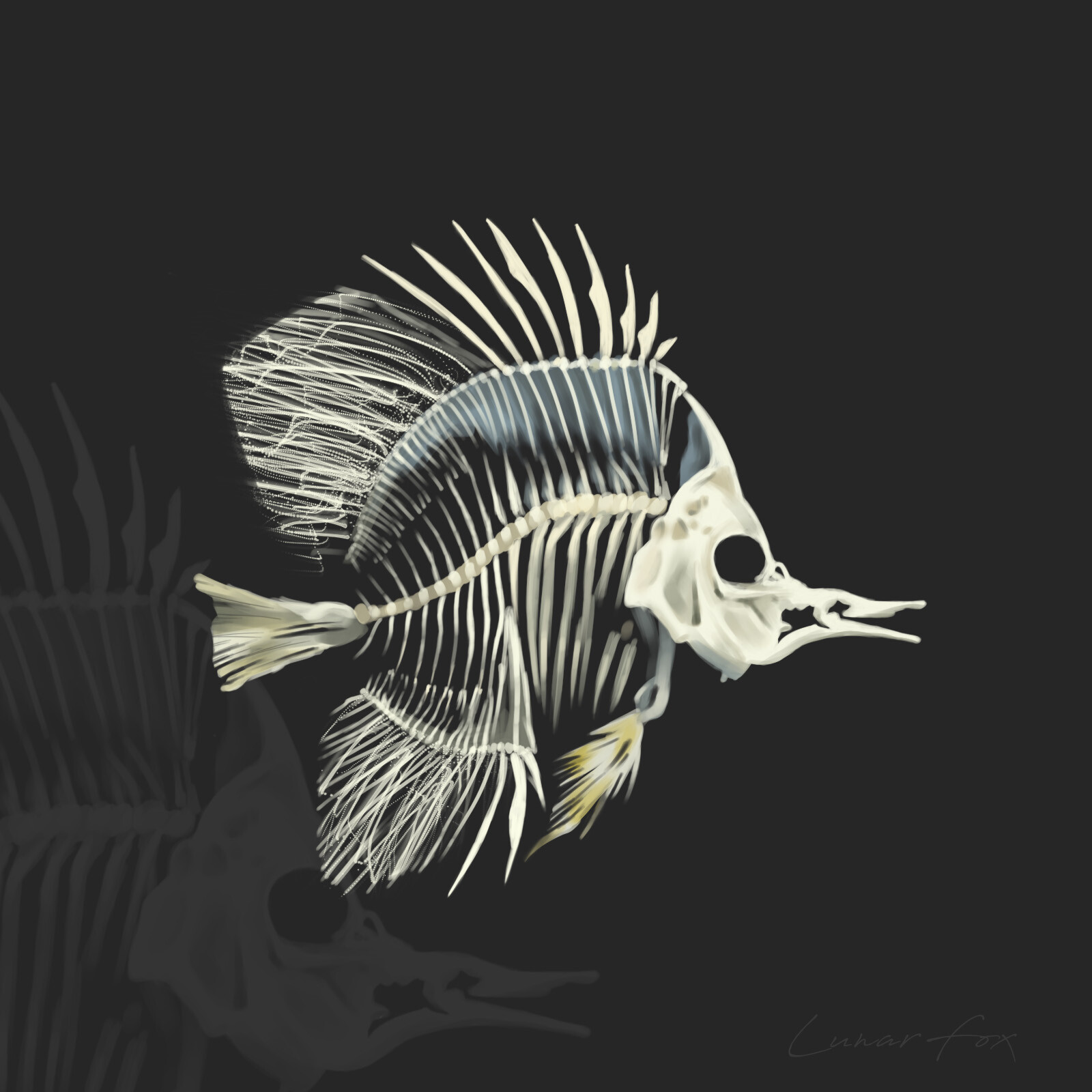 ArtStation - Fish skeleton