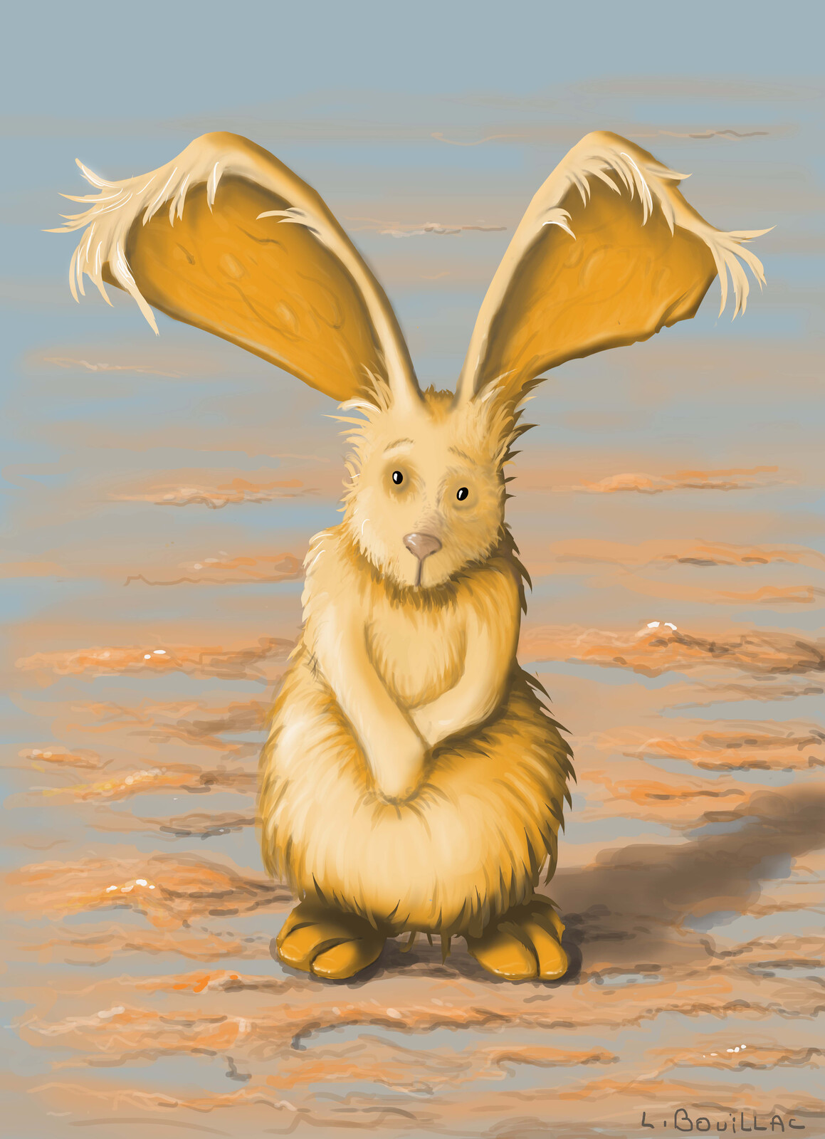 the rabbit