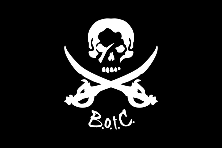 'Jolly Roger' inspired logo/flag made for a discord named Brethren of the Coast