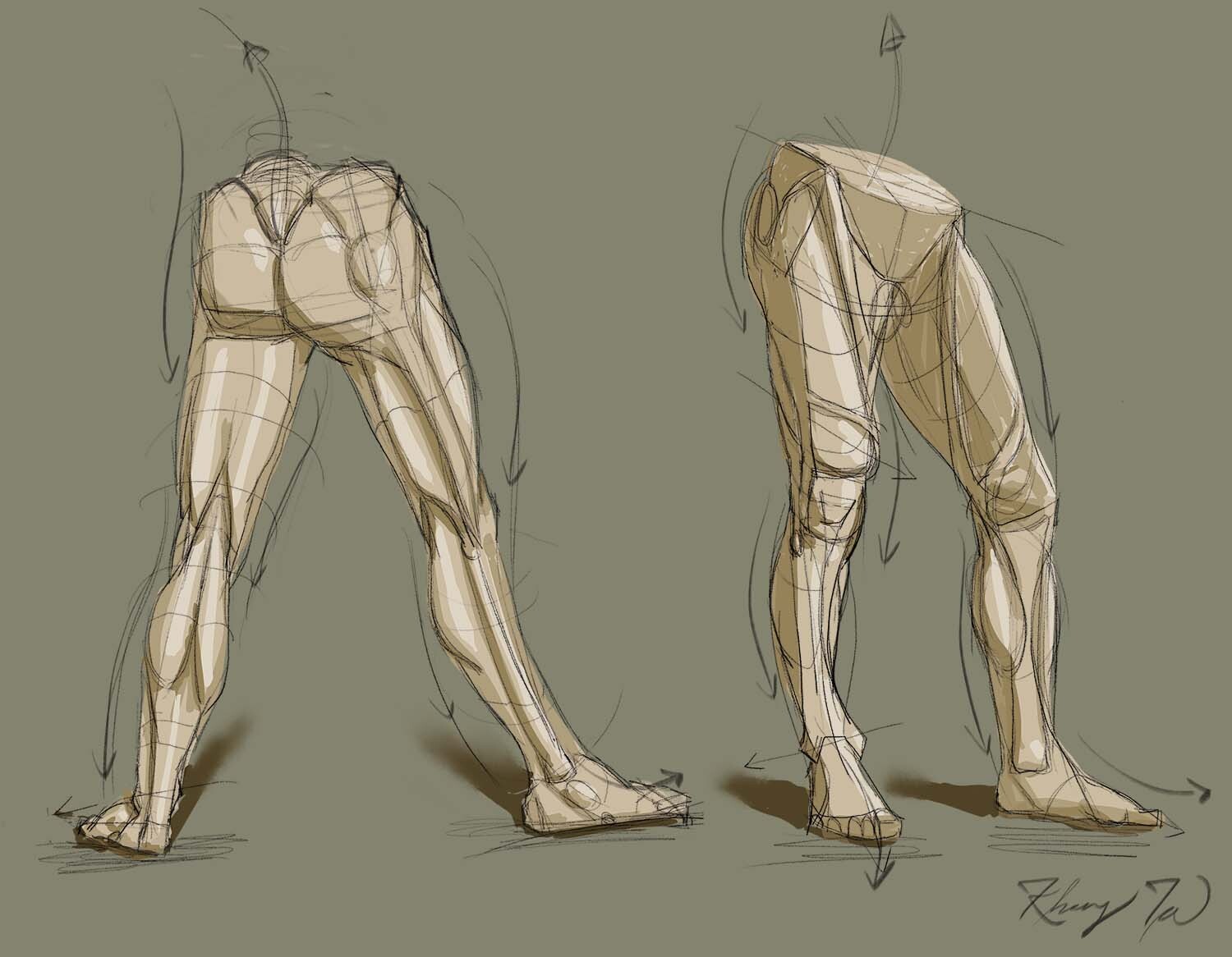 Drawing Bodies 101  Artistic Anatomy and Drawing the Leg