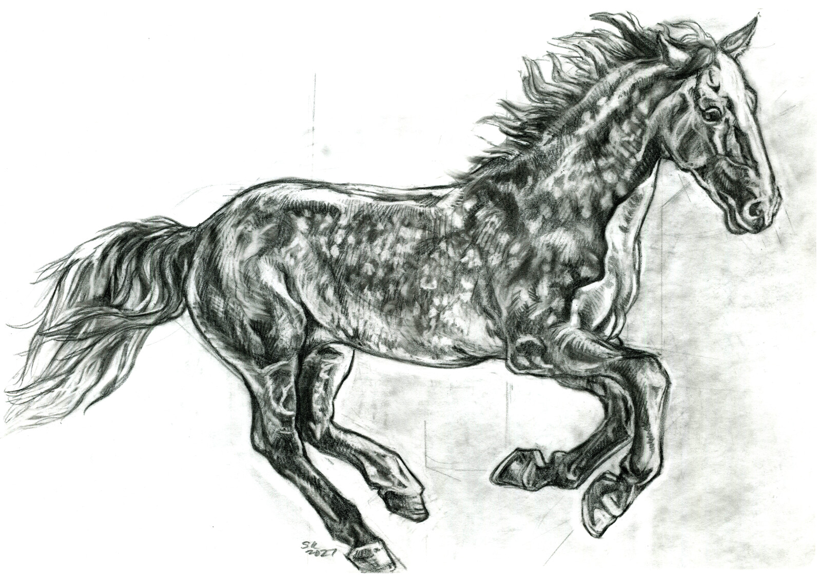 Graphite on vellum.