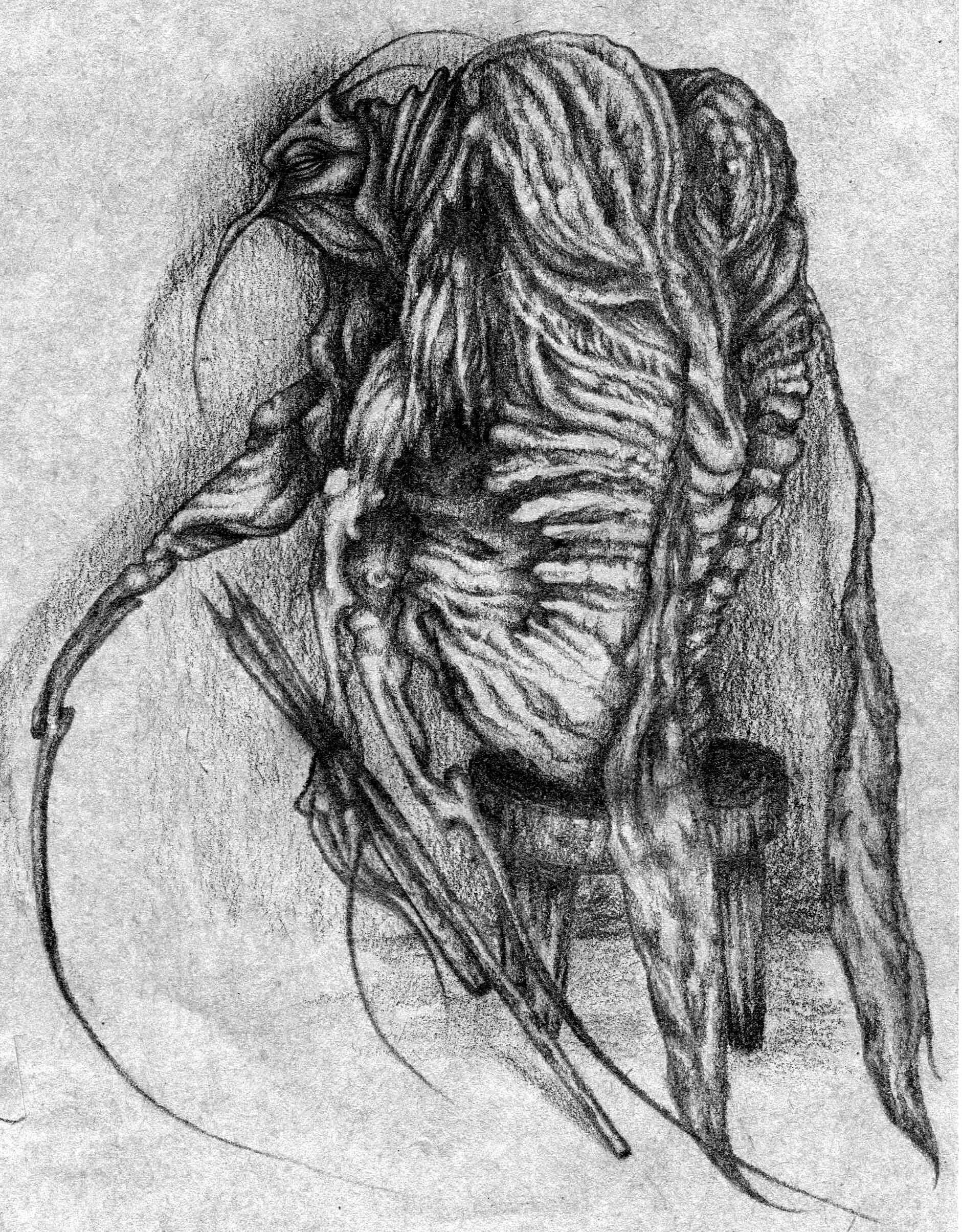 ArtStation - Creatures - graphite pencil and watercolor