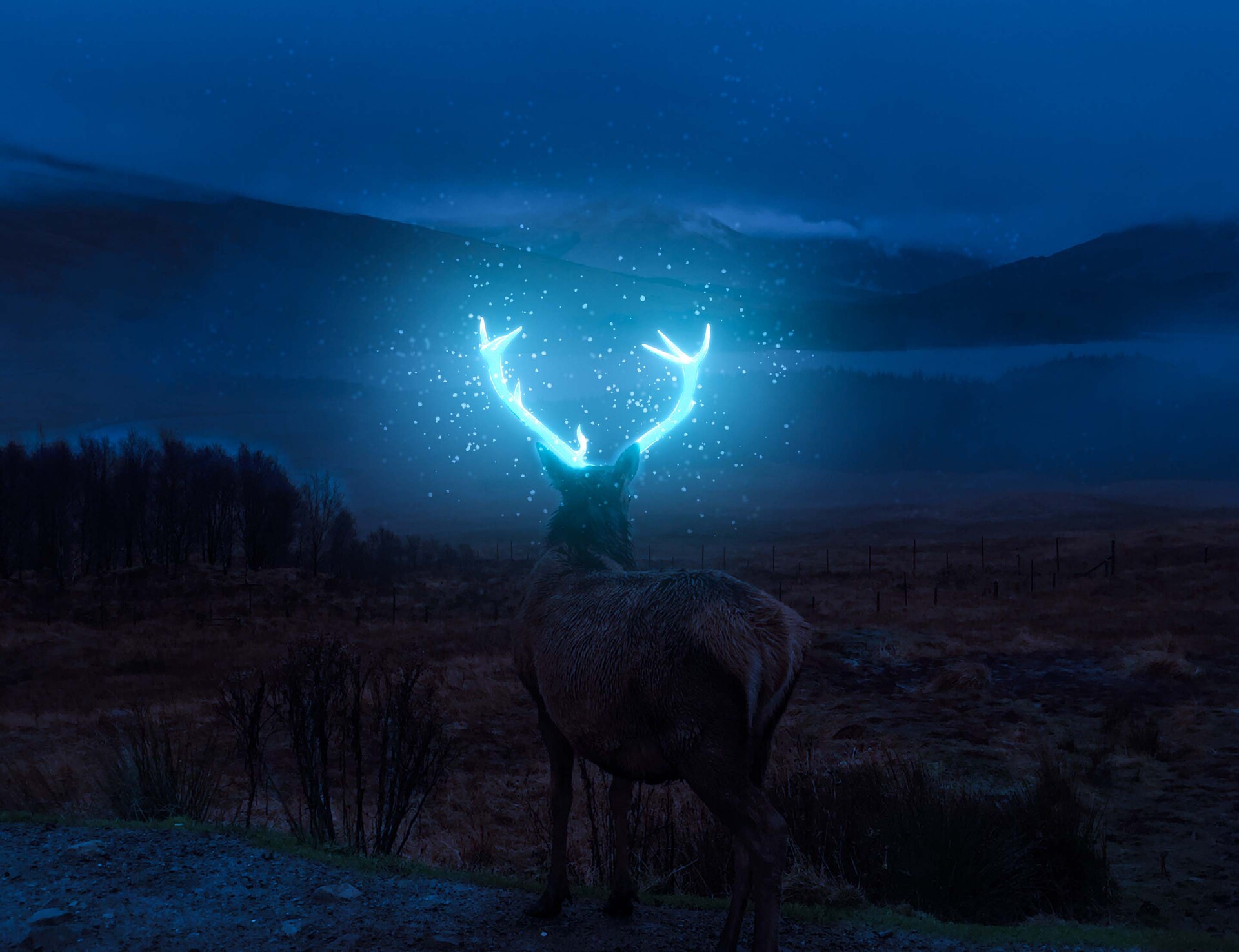 ArtStation - Glowing Antlers