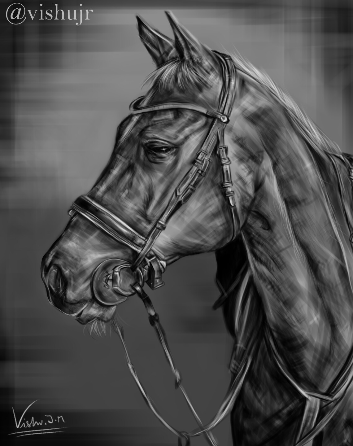 black and white horse head drawing