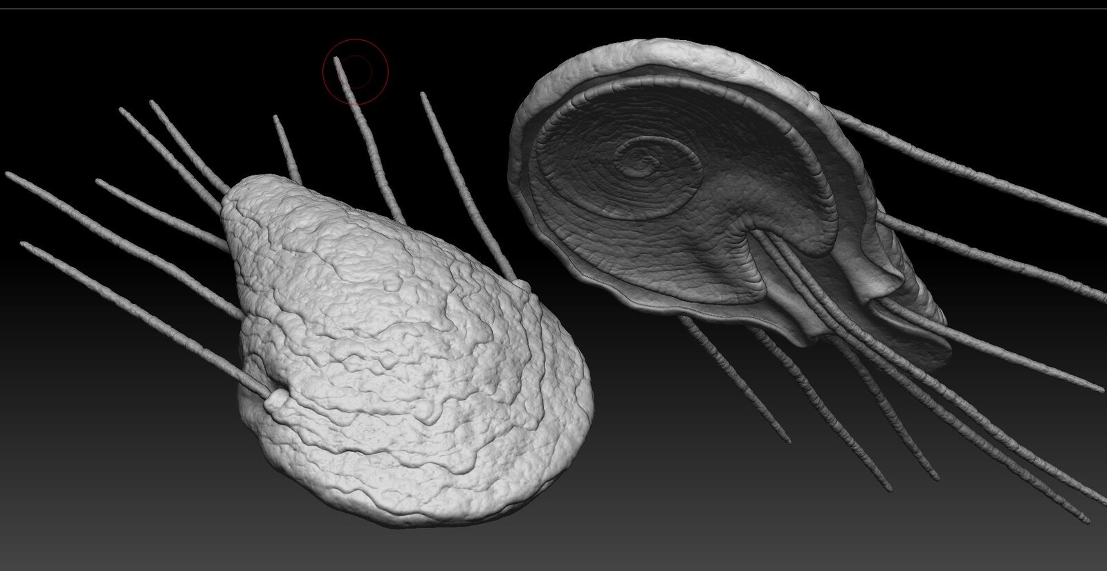 zbrush screenshot
