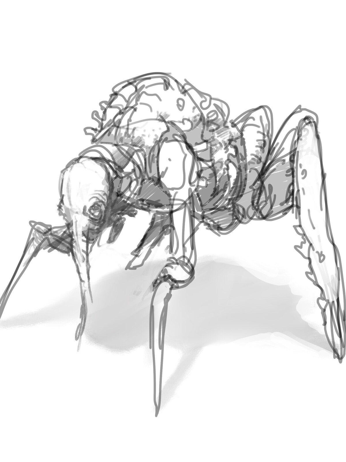 Yet another crawly thing.