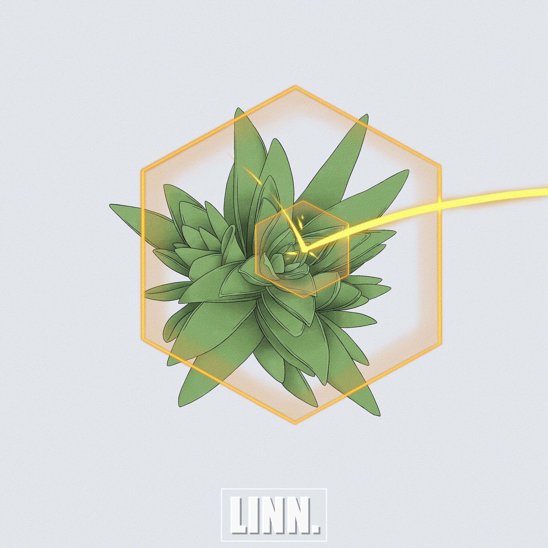 Linn. absolute terror field (2022)