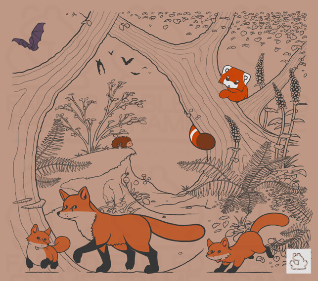 Book Illustration