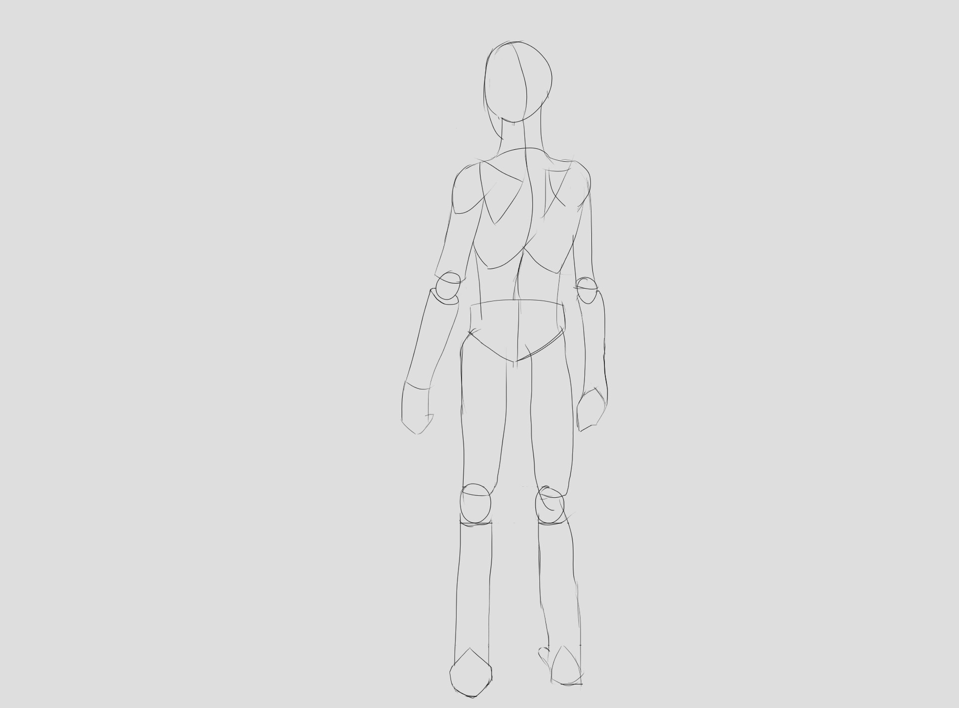 ArtStation - Female body anatomy back view