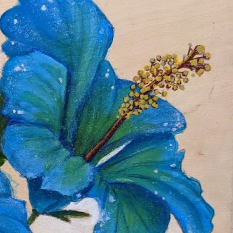 Healing Hibiscus Flora