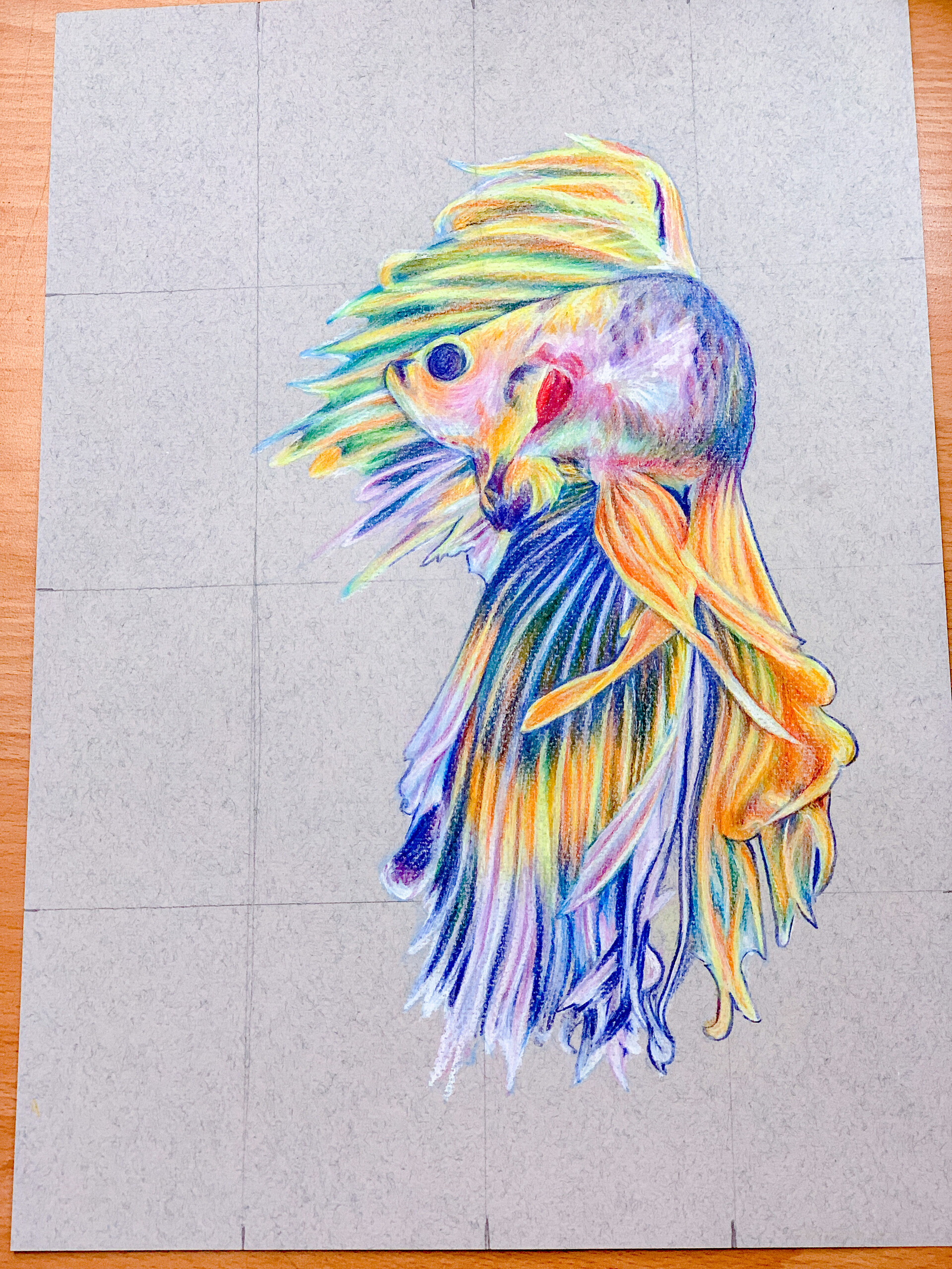 ArtStation - Traditional art - Colour pencil practice