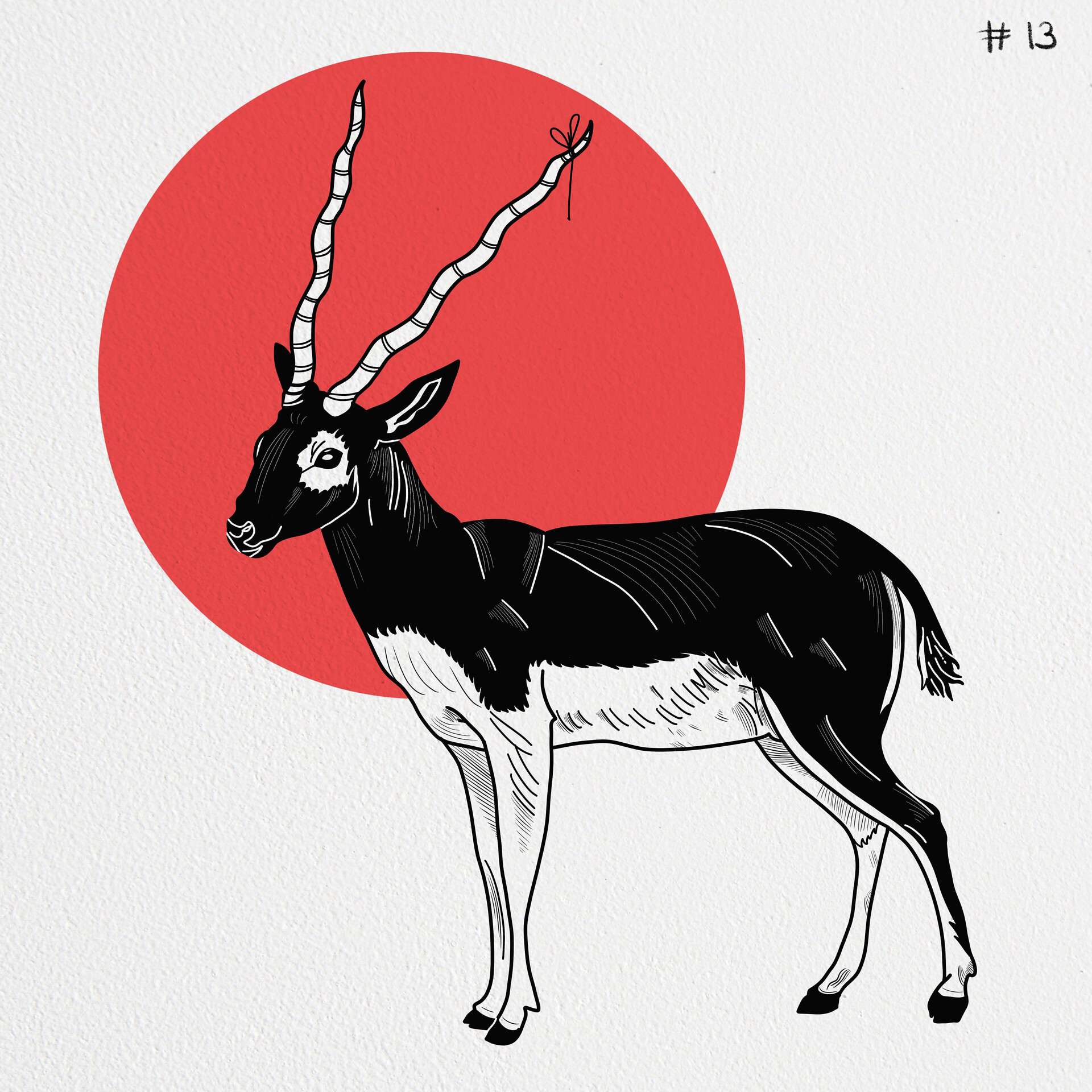 Learn How to Draw a Buck Deer (Wild Animals) Step by Step : Drawing  Tutorials