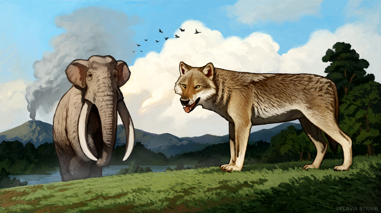wolf (Canis lupus) and straight-tusked elephant (Palaeoloxodon antiquus) 