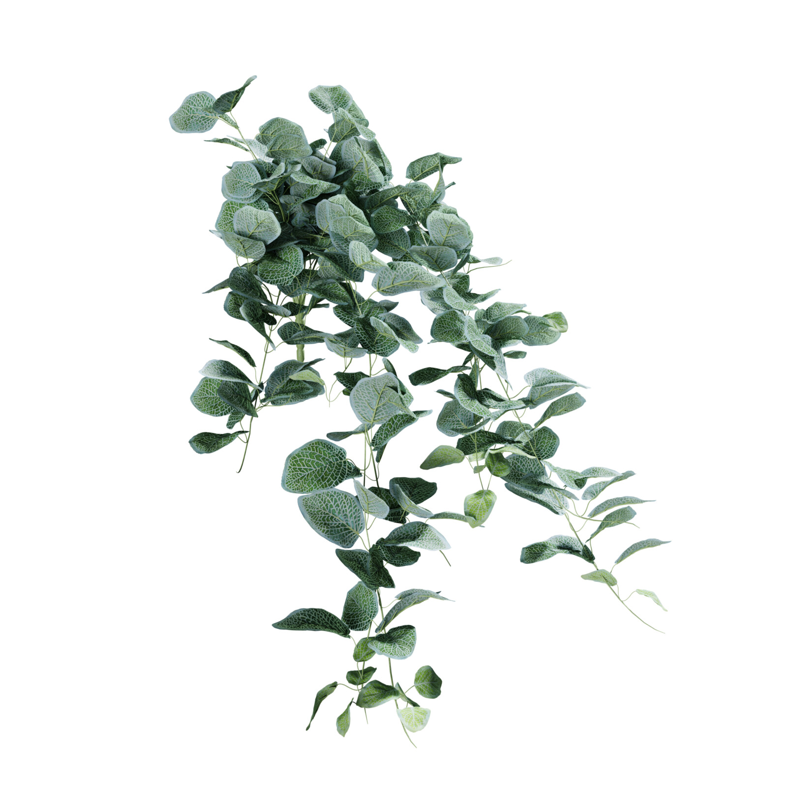 https://hk-green.eu/artificial-tendril-fitonia-white-80-cm-p20227