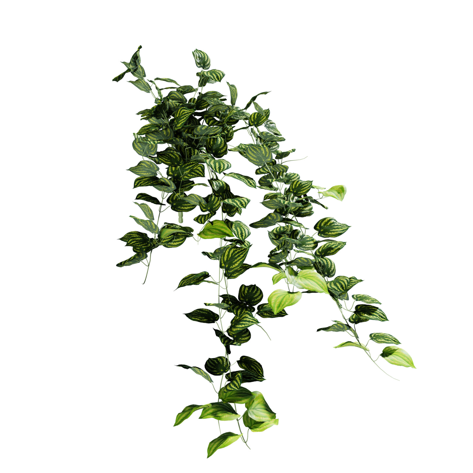https://hk-green.eu/artificial-tendril-peperomia-80-cm-p20244