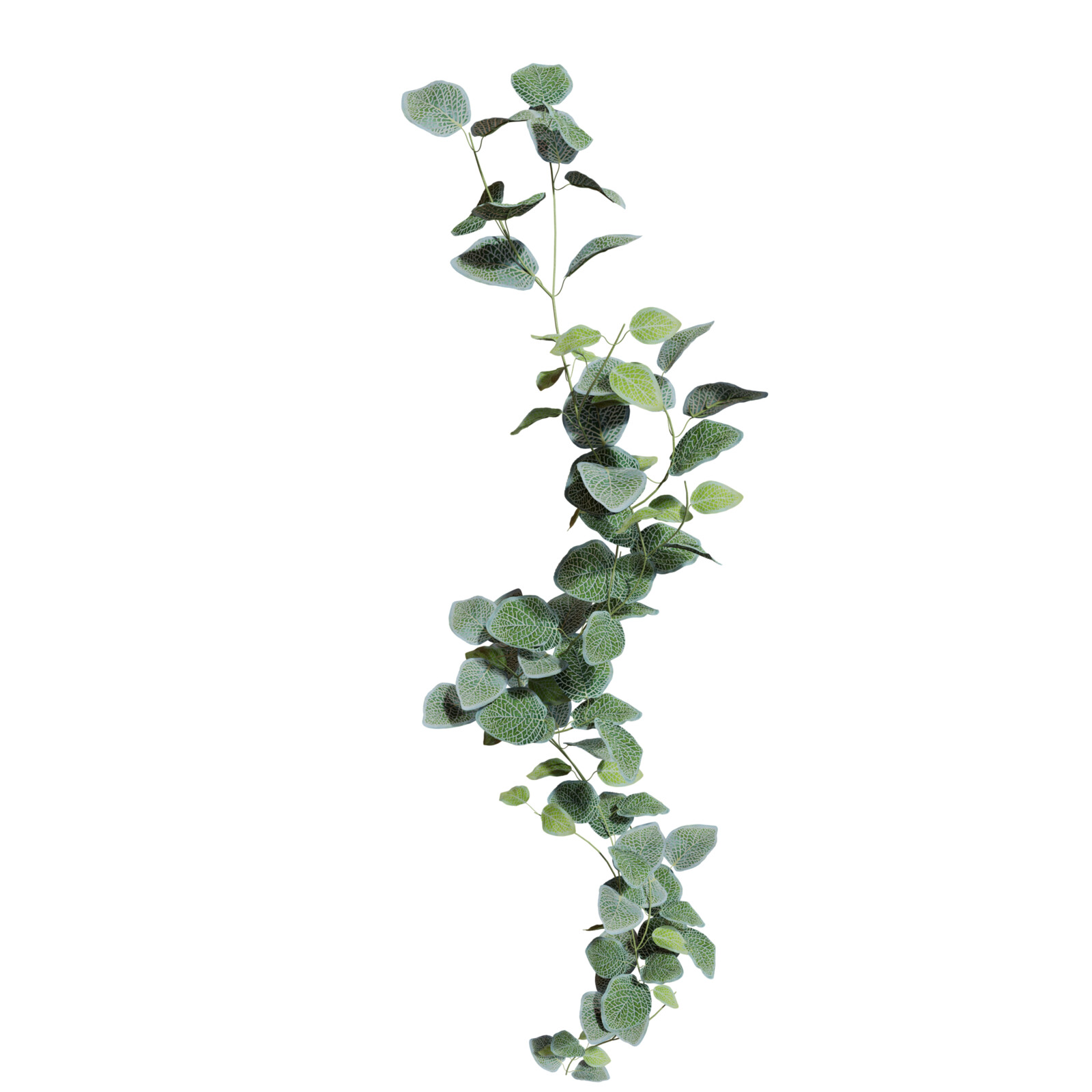 https://hk-green.eu/artificial-garland-fitonia-190-cm-p20204