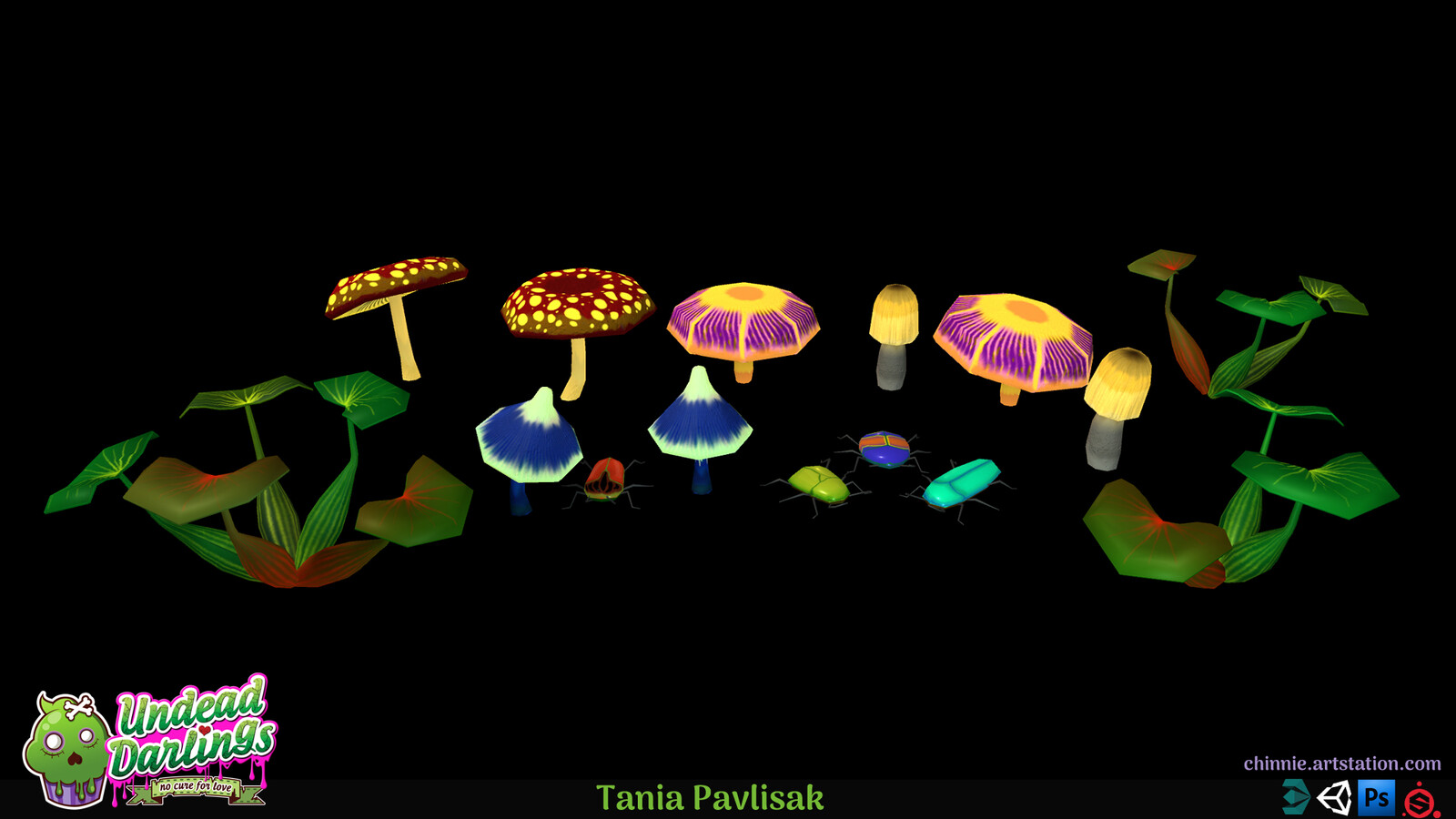 Sewer mushrooms, insects and plants