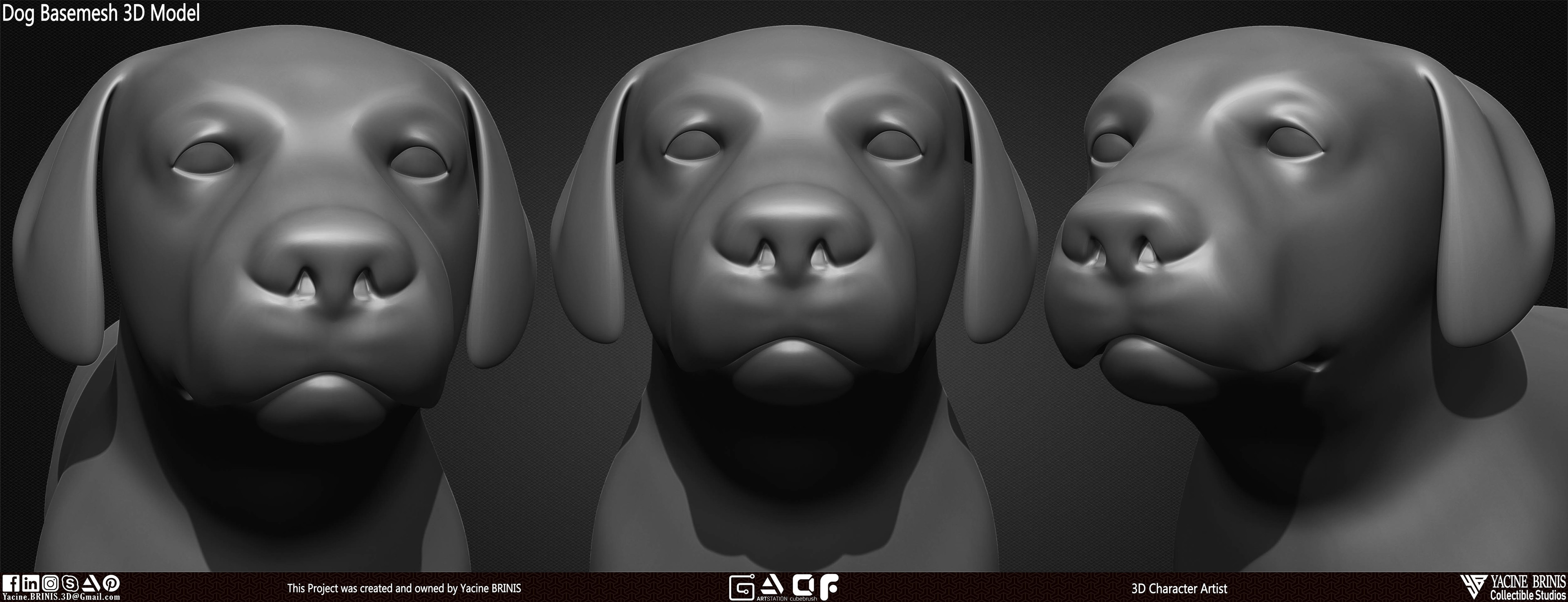 Dog Basemesh 3D Model Vol 01 sculpted By Yacine BRINIS Set 007