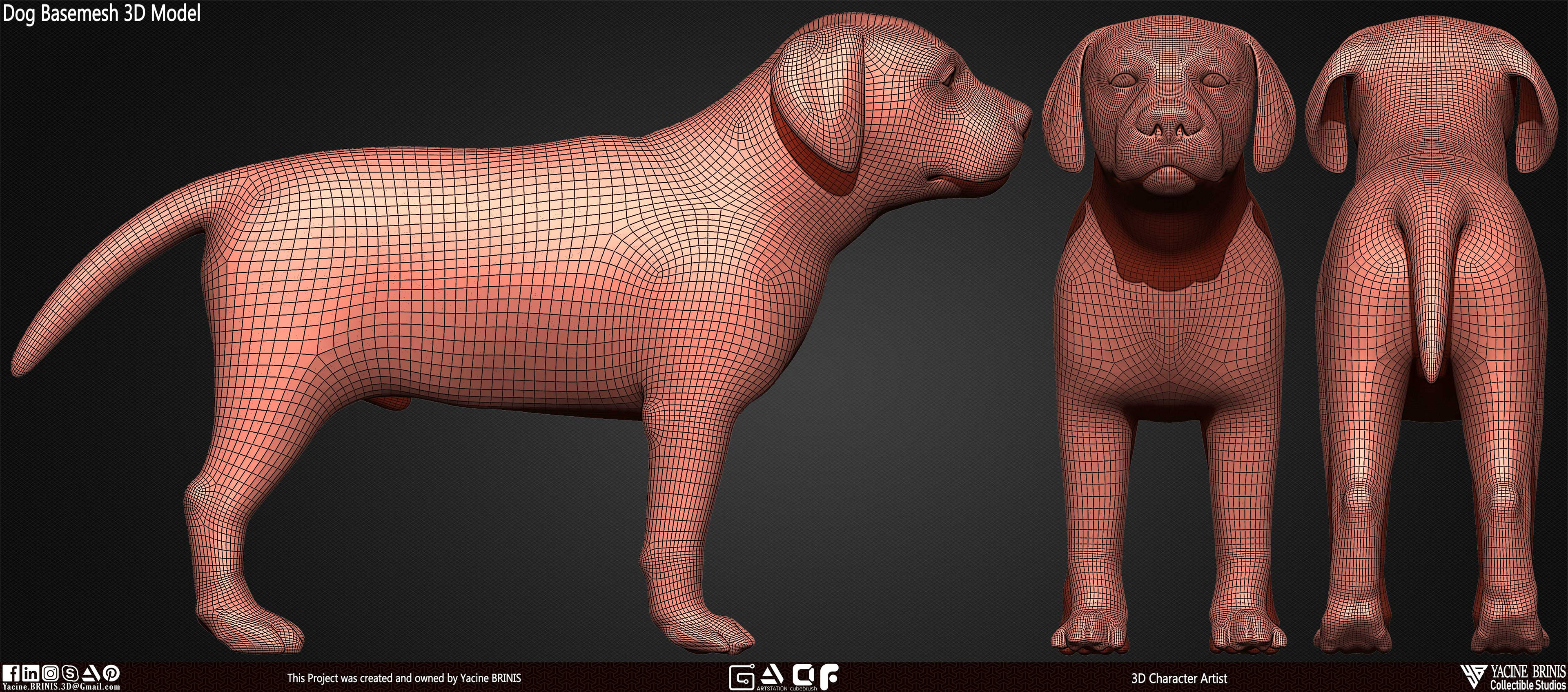 Dog Basemesh 3D Model Vol 01 sculpted By Yacine BRINIS Set 009