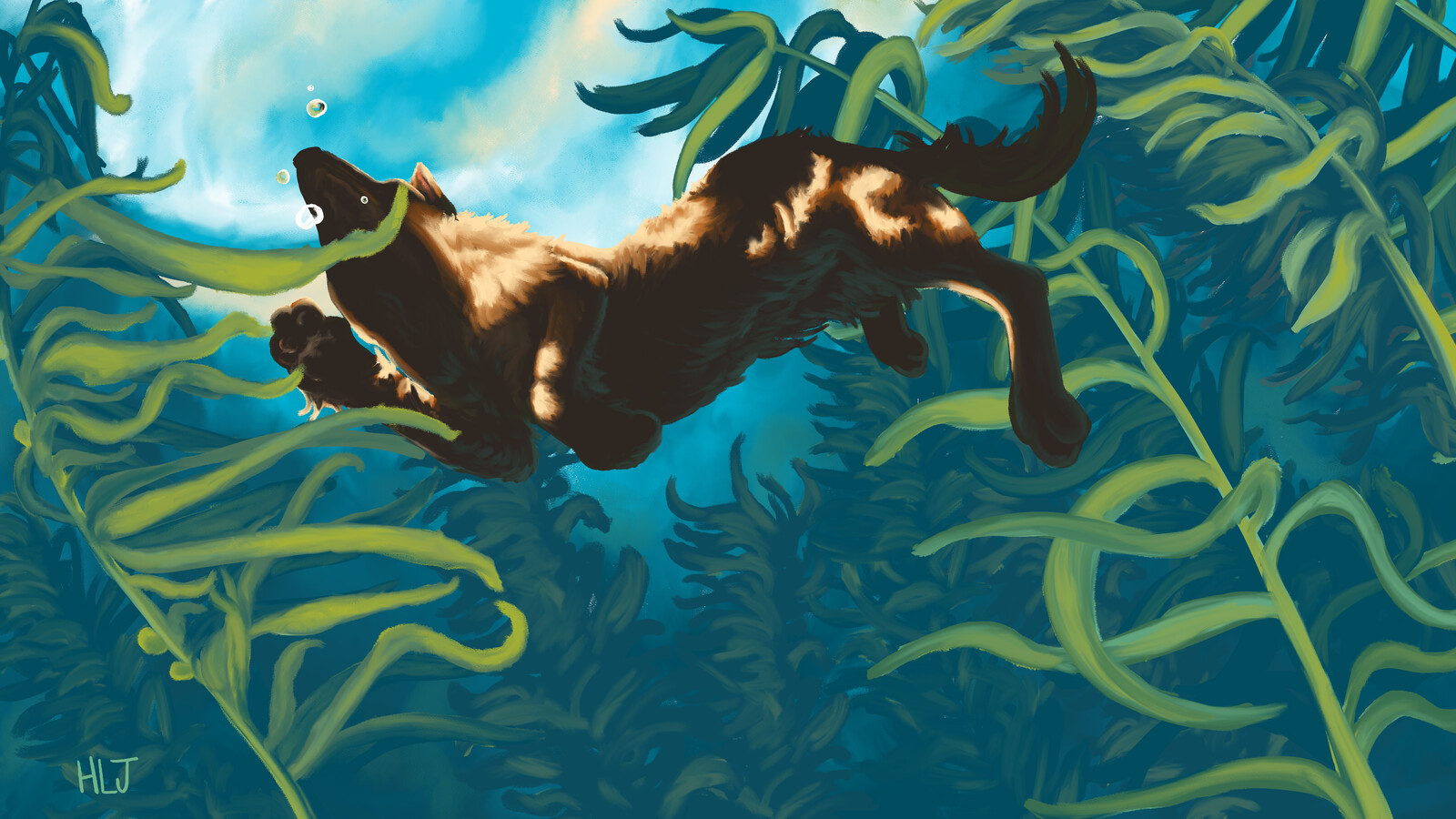 Black Dog Swimming