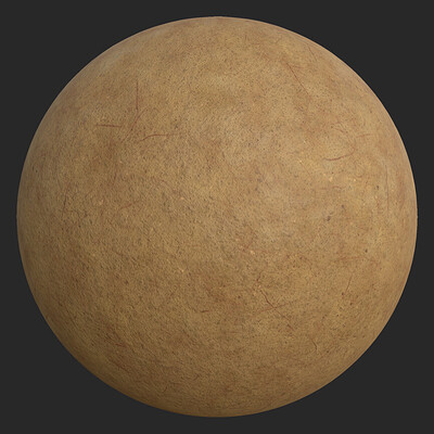 Sunny Side Up Egg Texture Generator, Free PBR