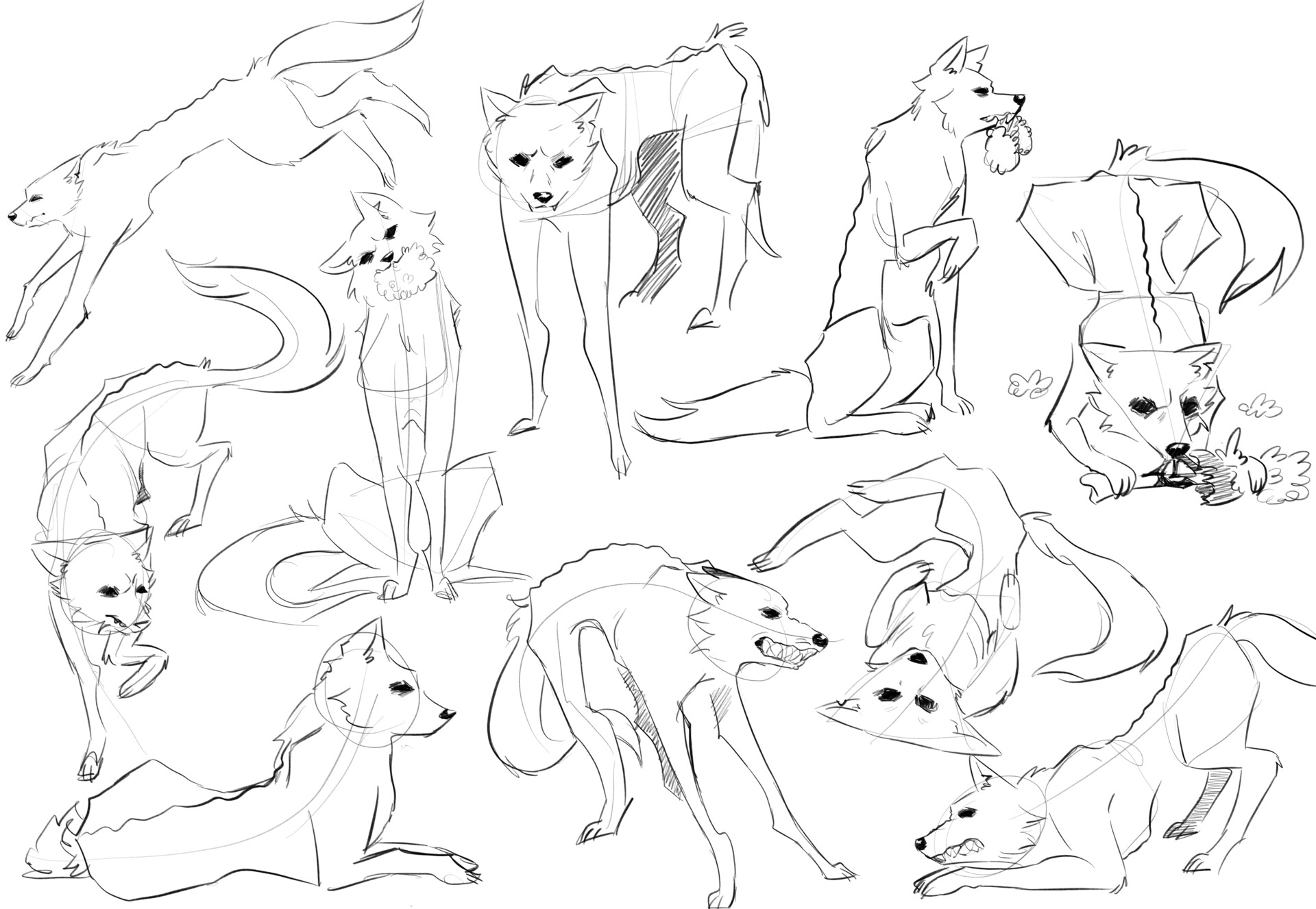 Wolf Tala Sketches by StangWolf on DeviantArt